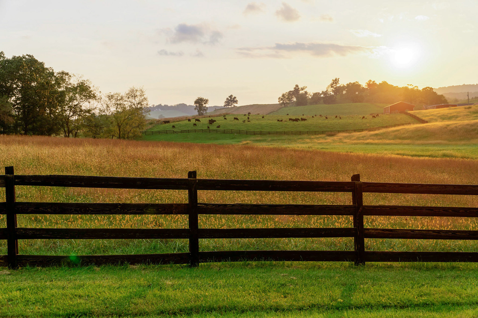 Sunset along the backroads in Staunton, VA