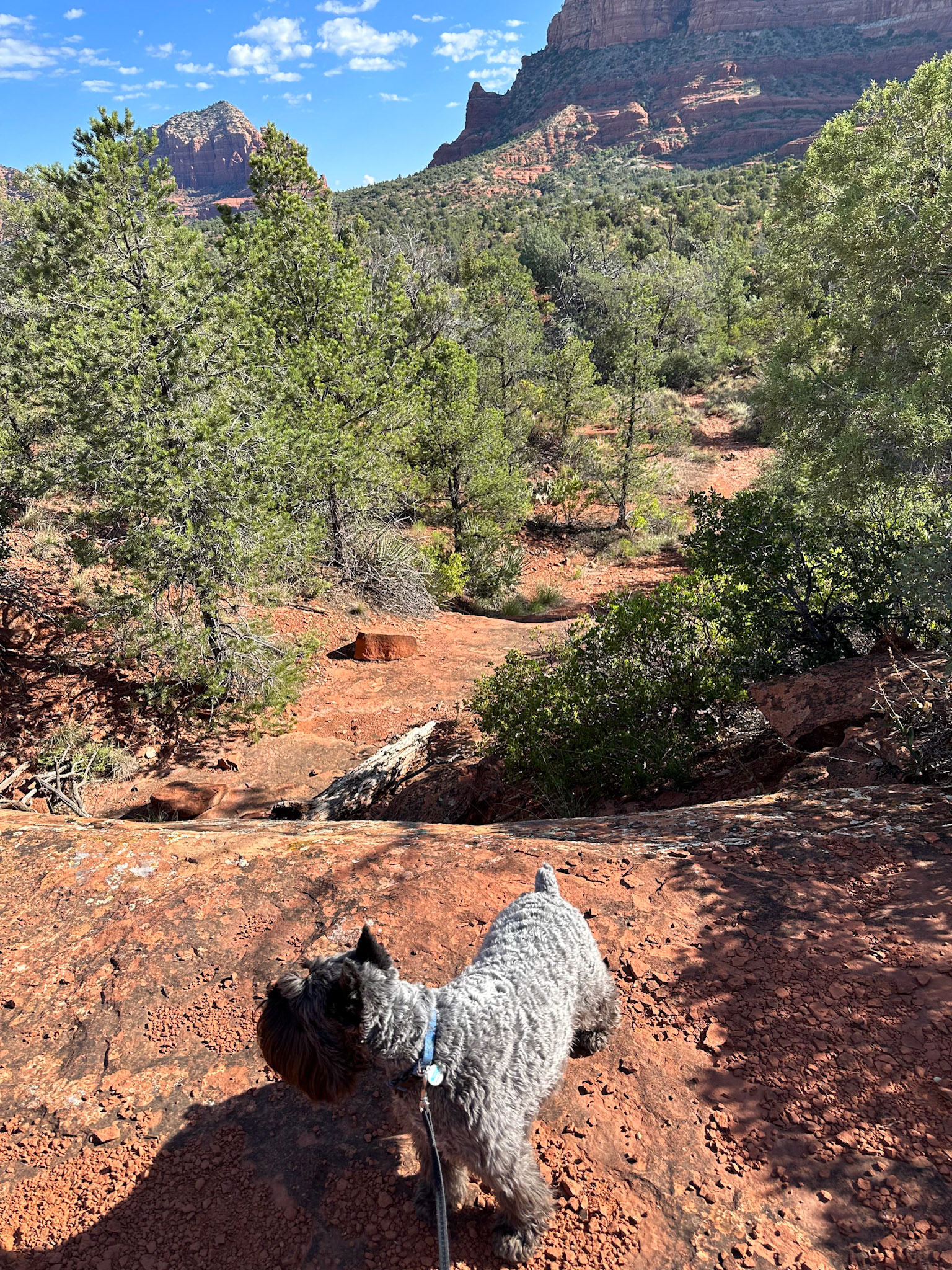Tripp leads the way