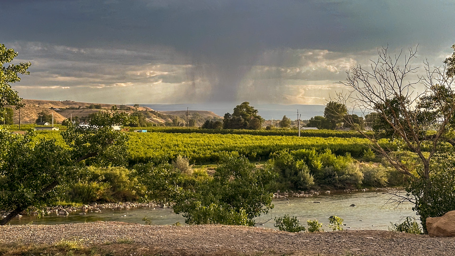 Storm brewing over the orchards and Colorado River