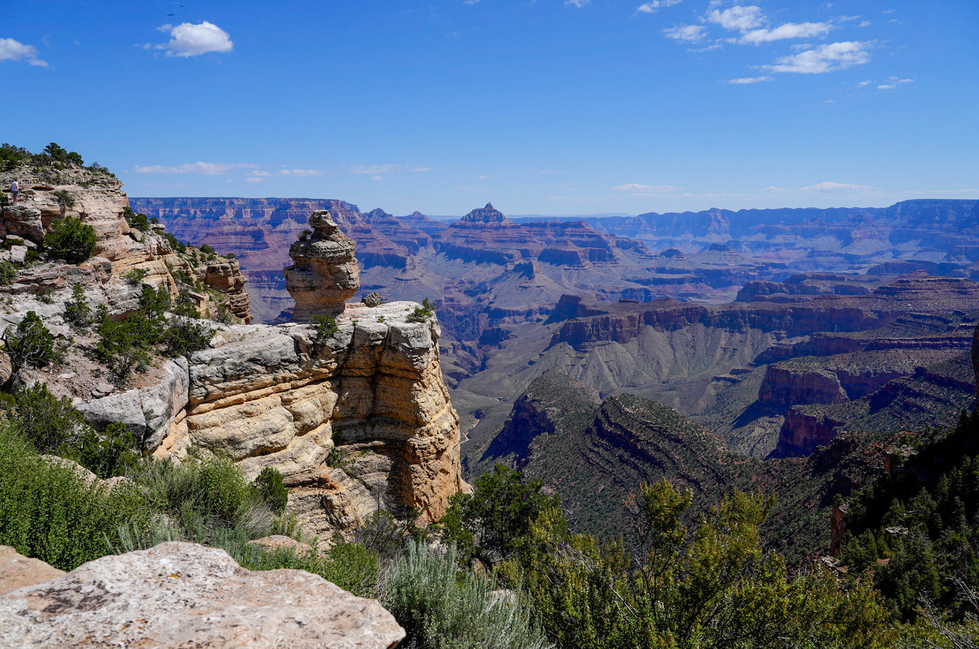 Duck on a Rock Vista at the Grand Canyon