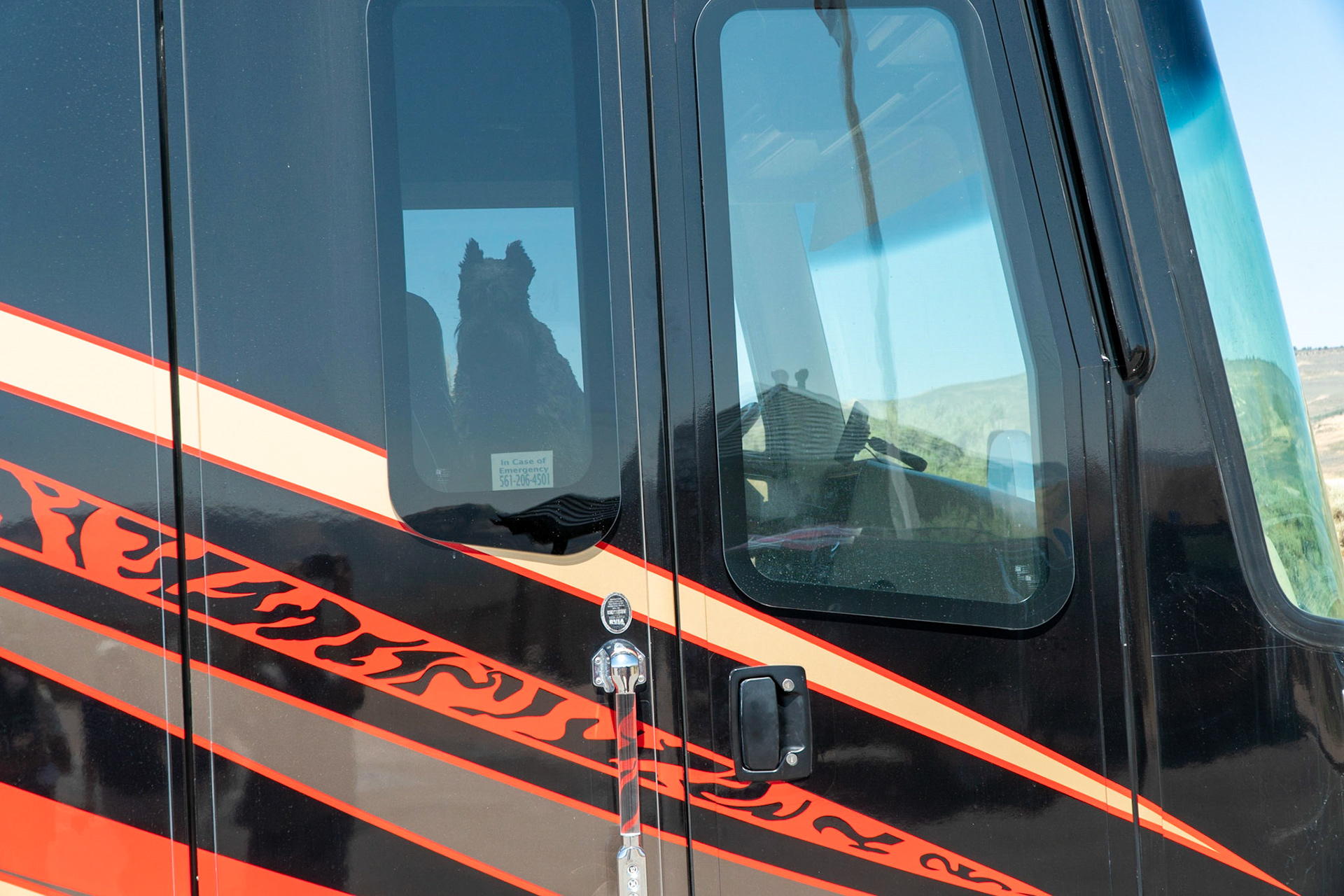 Tripp waiting impatiently for our return