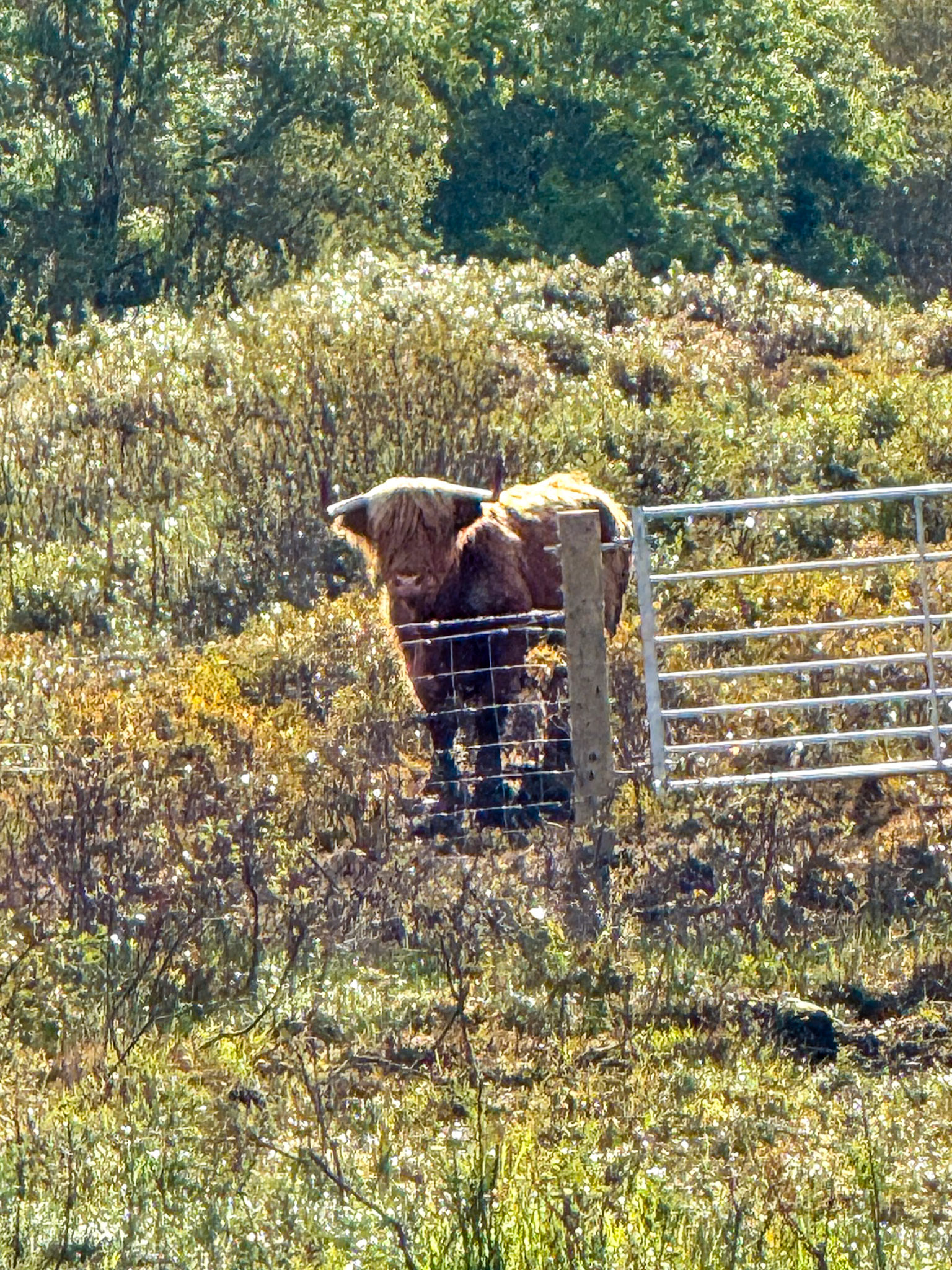Glencoe visitor center