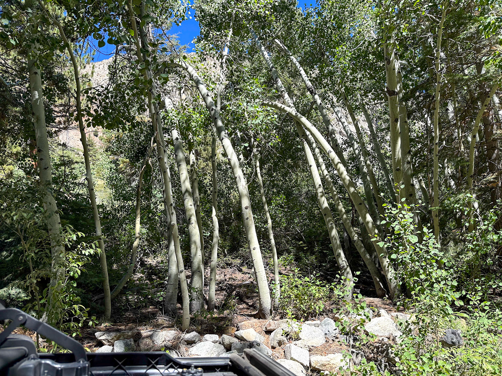 Our Lundy Lake Vortex