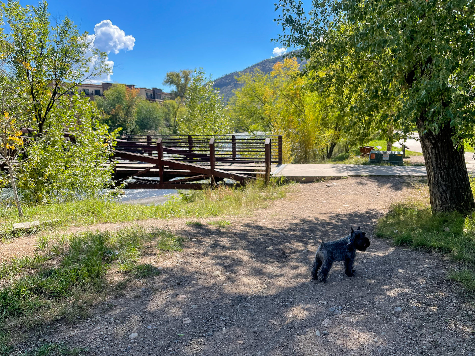 Animas River trail in Durango
