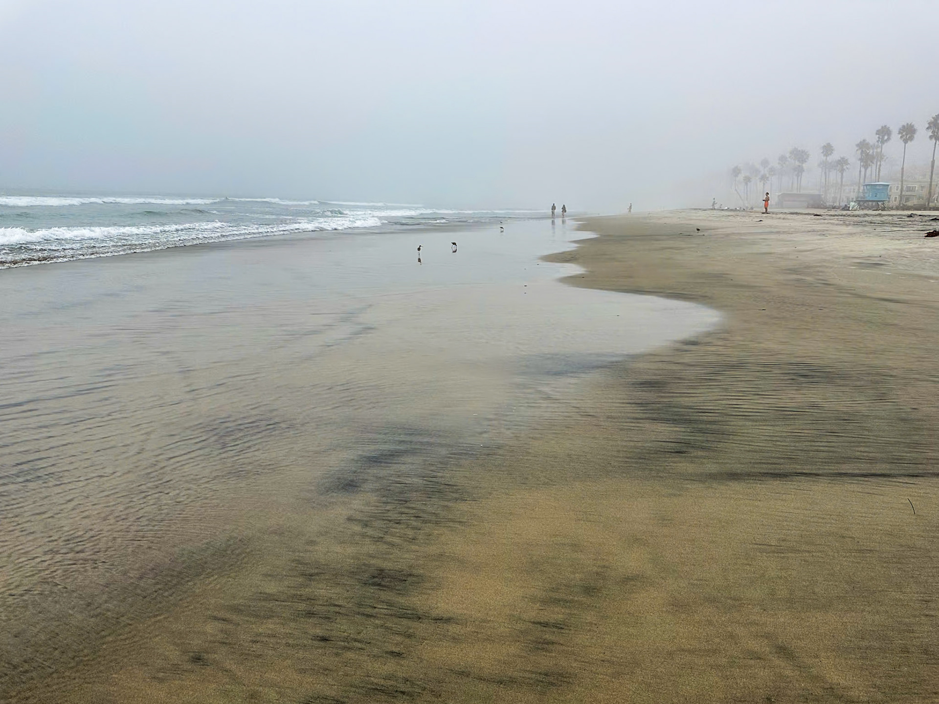 Foggy day in Oceanside