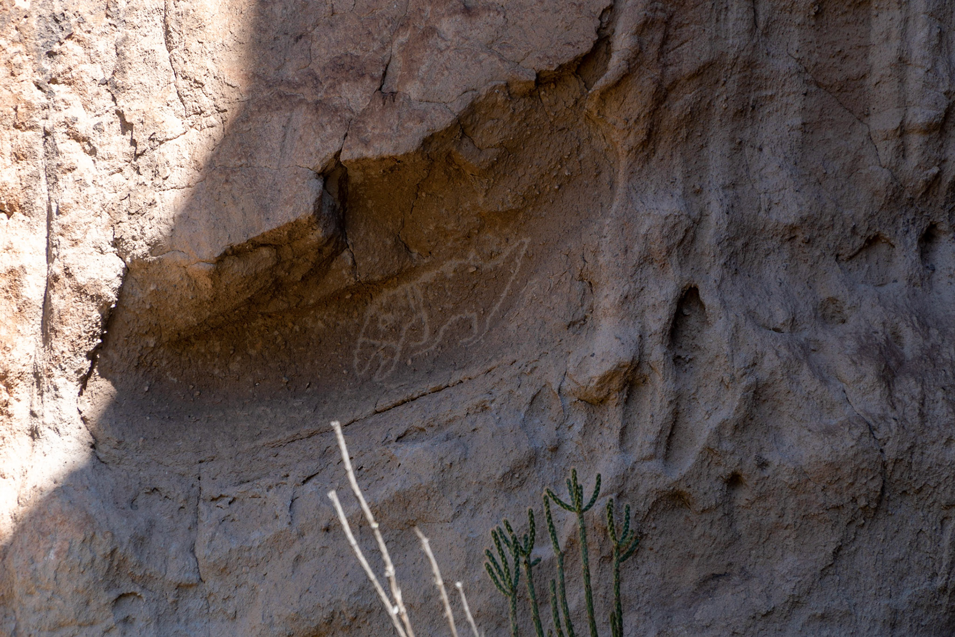 Ancient Macaw Petroglyph