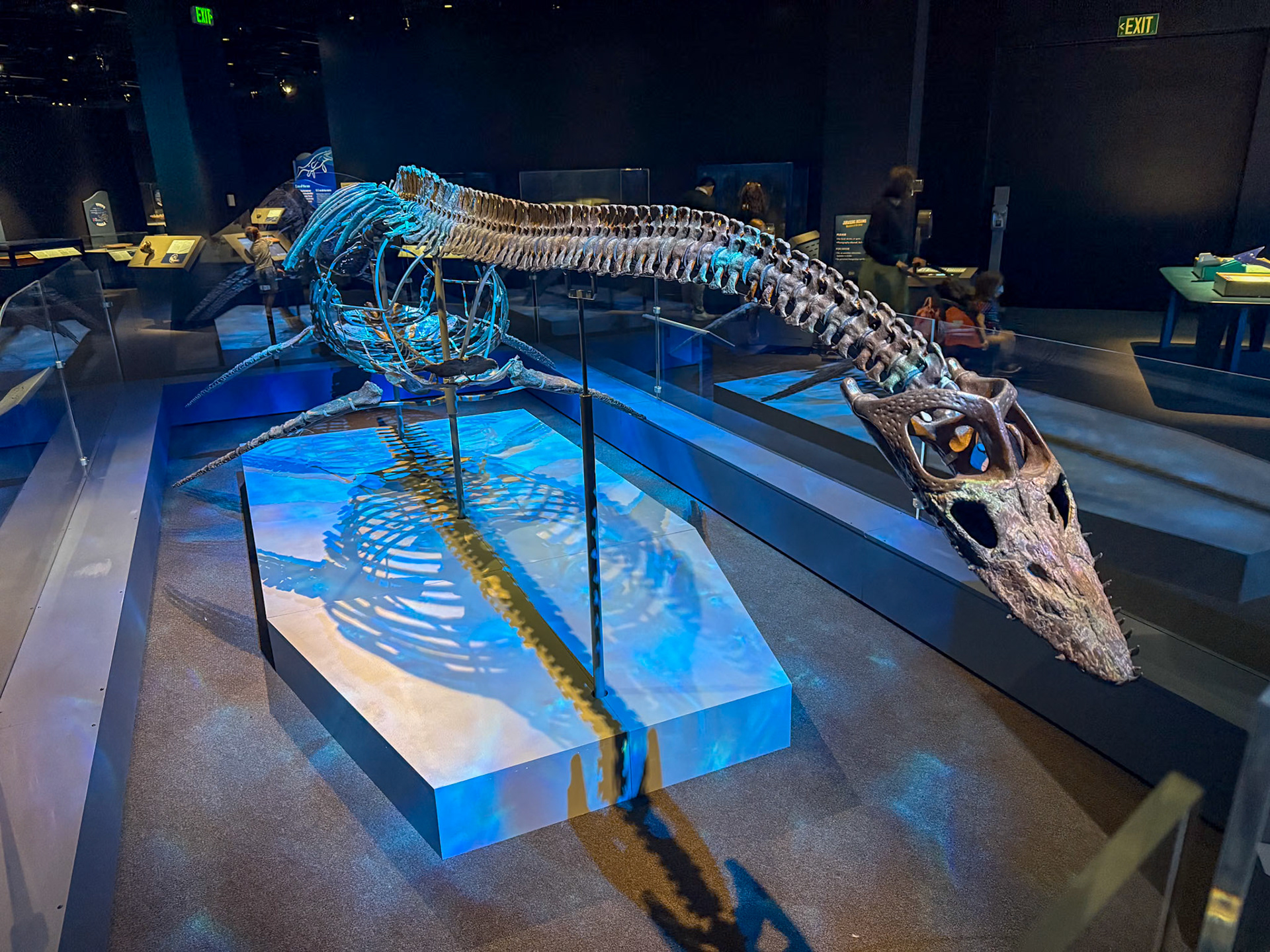 Denver museum Nature &amp; Science