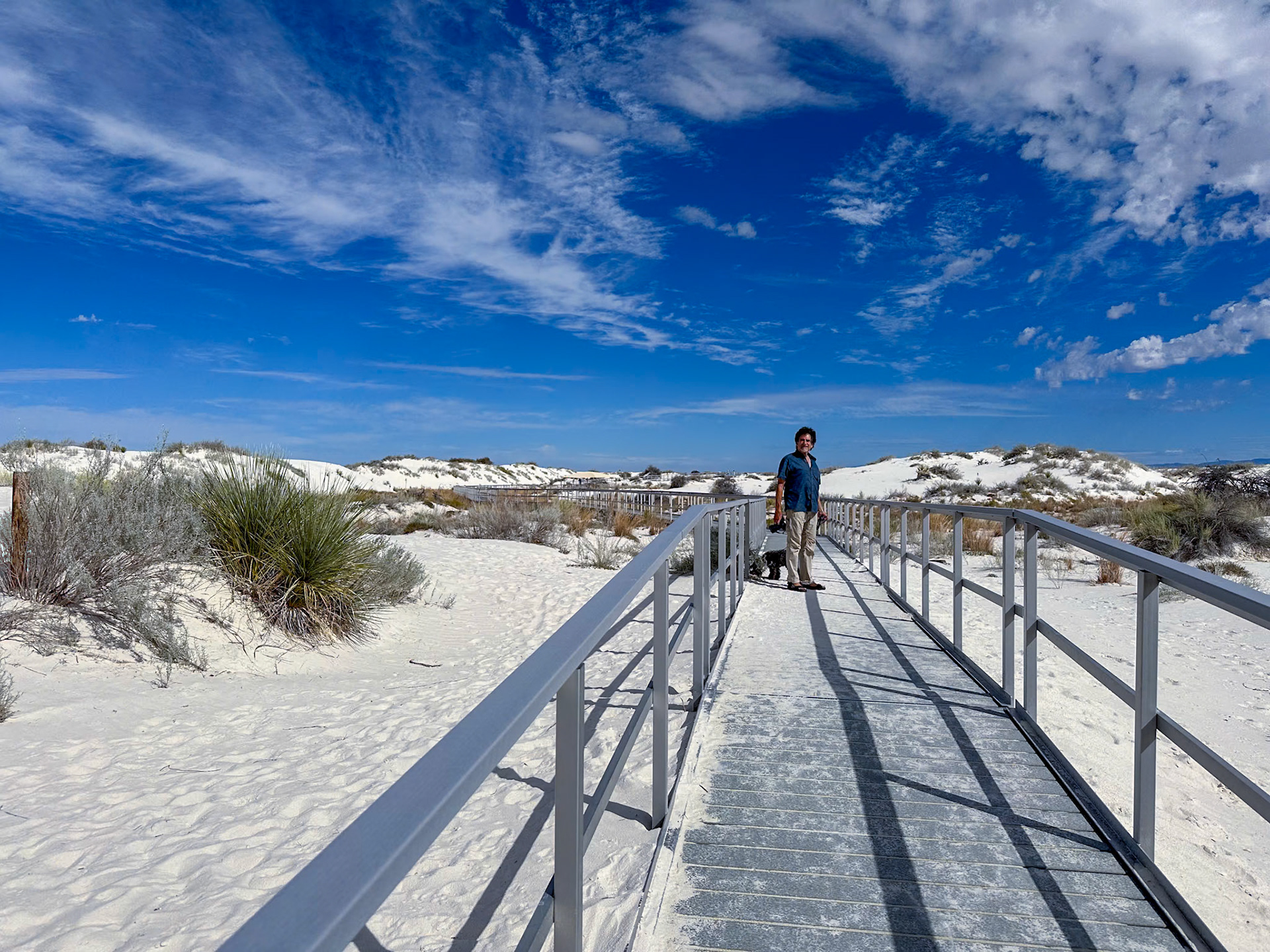 Boardwalk thru the dunes