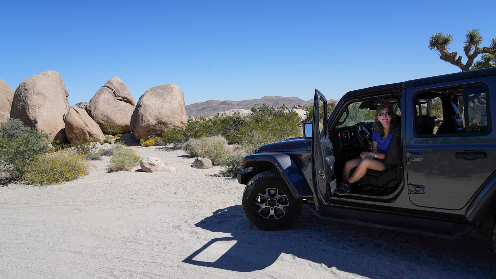 Lunch stop in Joshua Tree NP