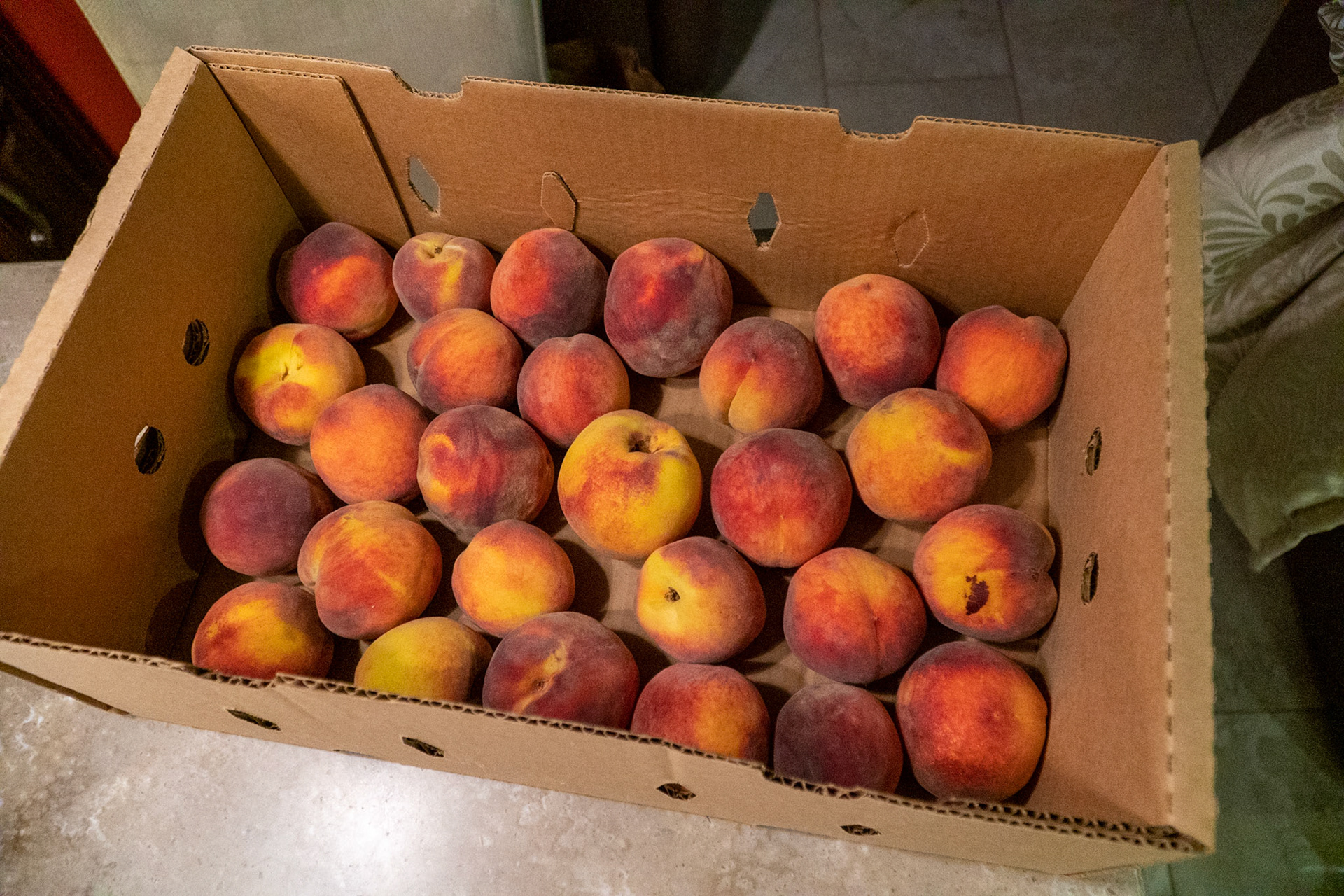 Another batch of Palisades Peaches