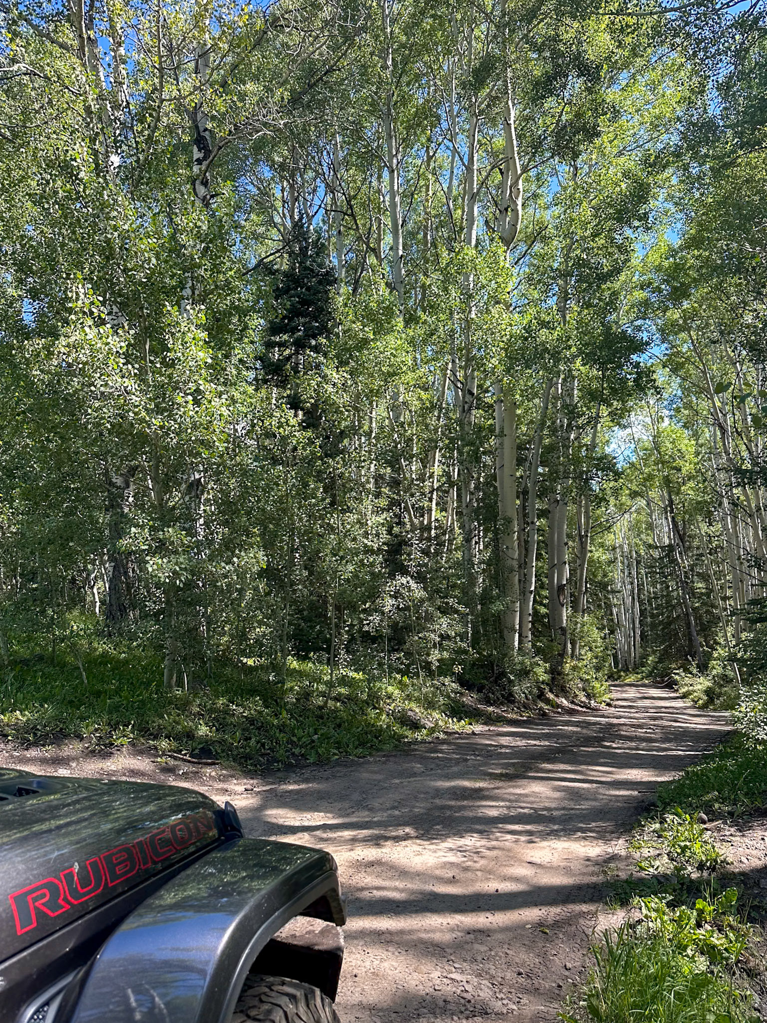 Bumpy ride to Mill Creek