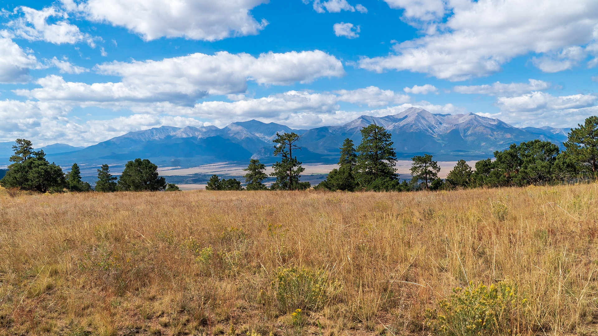 View of the Collegiate Peaks from 4WD trail