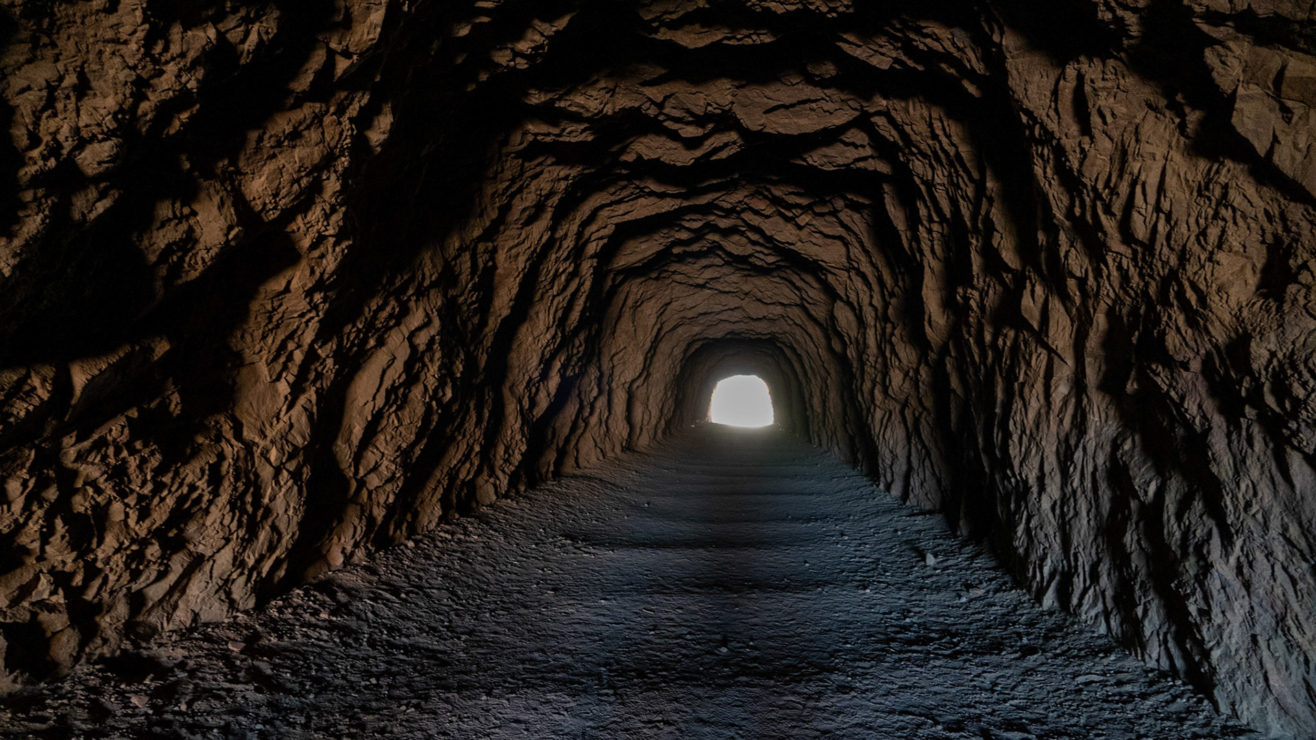 The camera has night vision