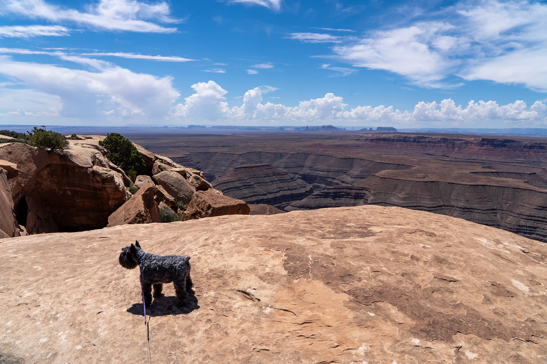 Muley Point in Glenn Canyon