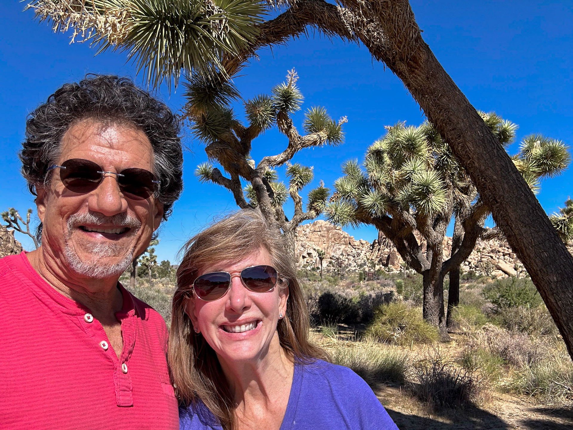 Exploring the Joshua Trees