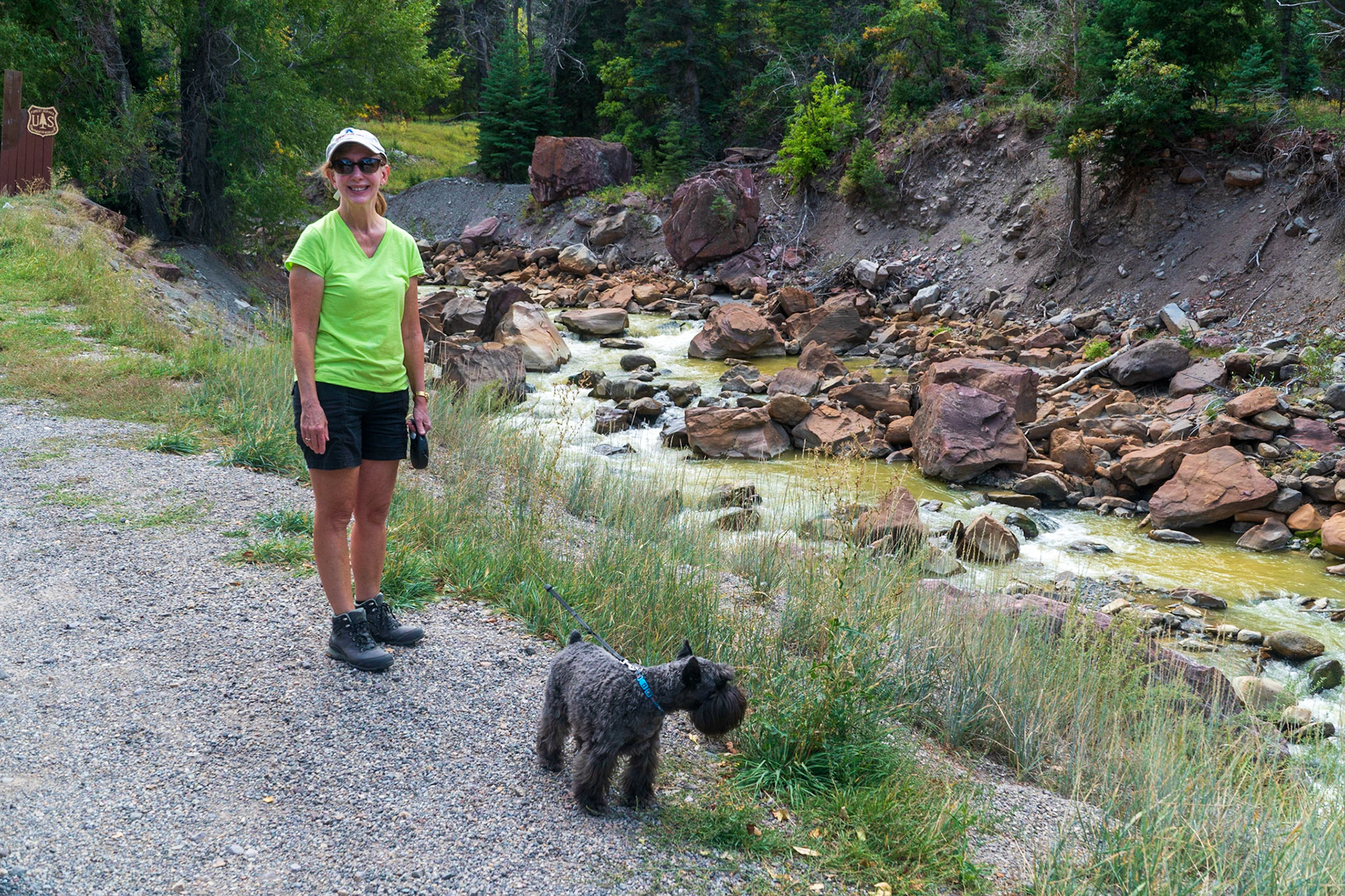 Uncompahgre River near Ouray