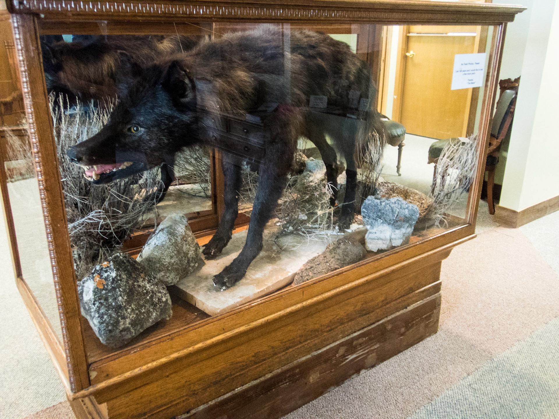 Madison Beast in Ennis was featured on Mysteries at the Museum