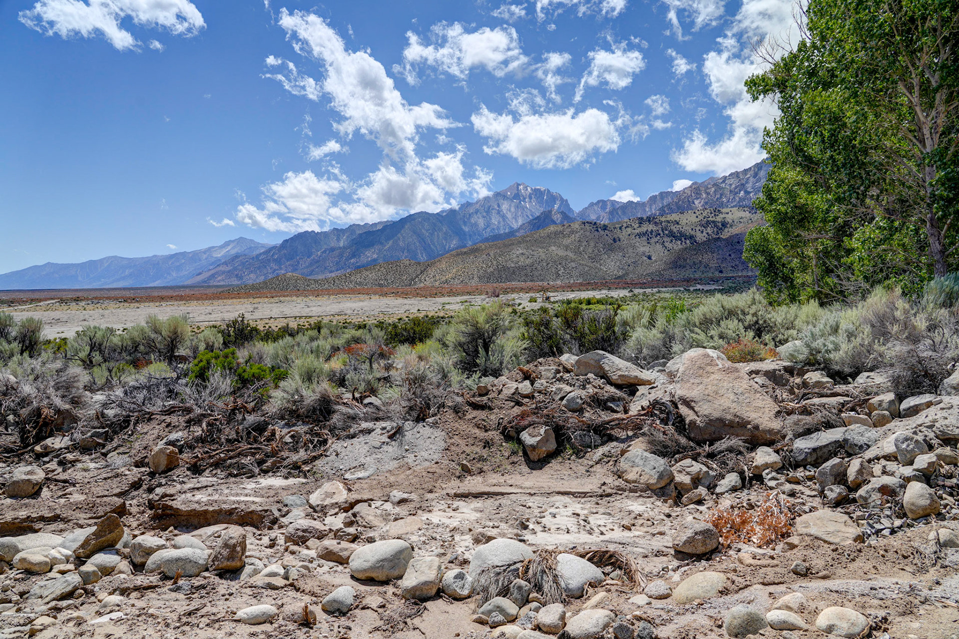 Along the Inyo National Forest road
