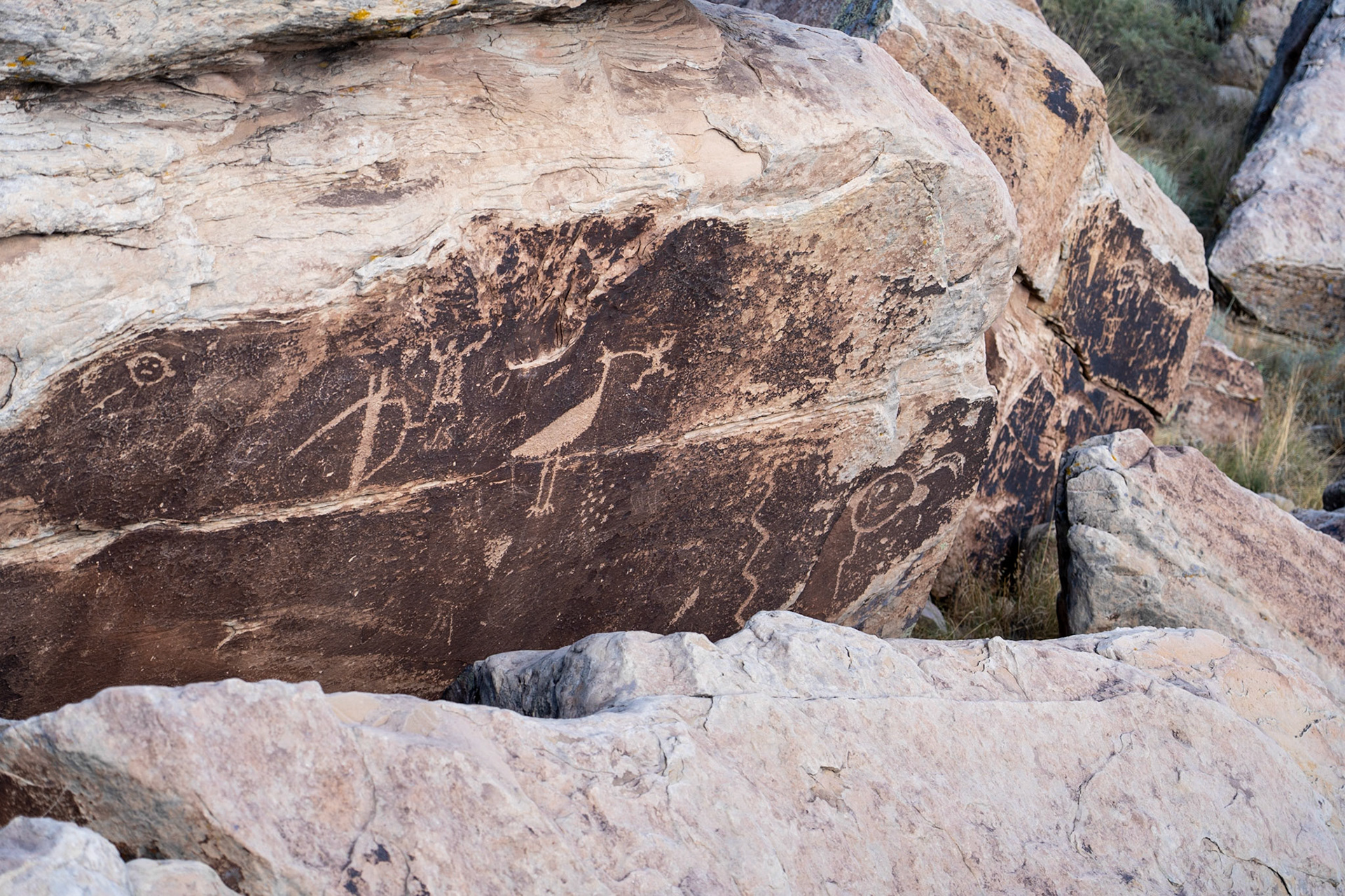 Petrogylphs in the Petrified National Park