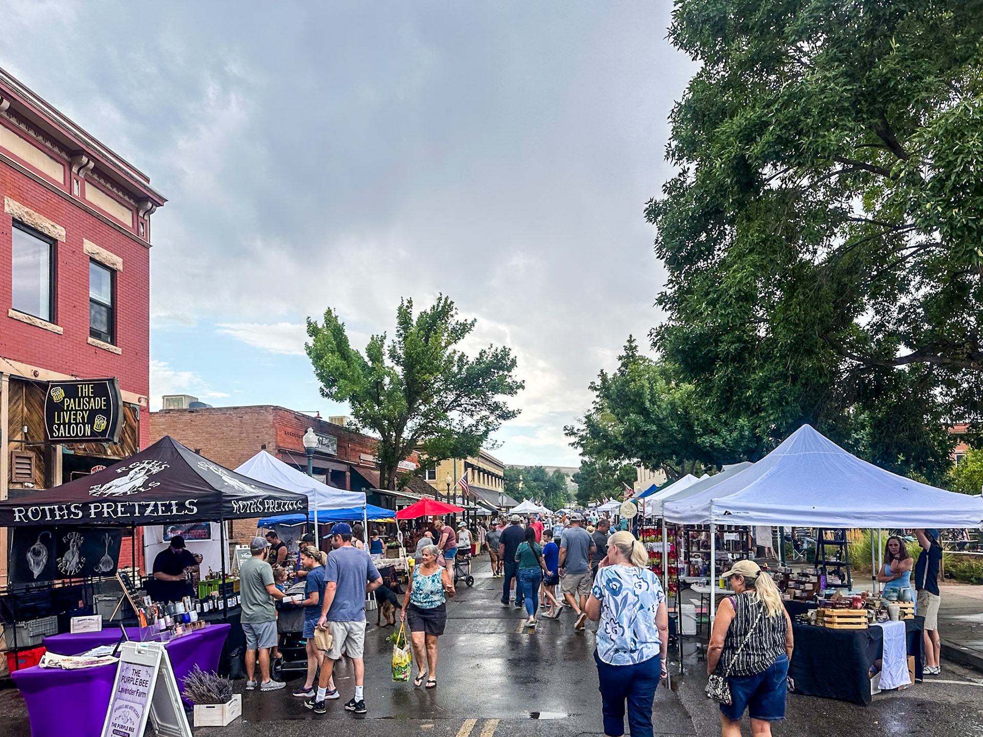 Farmer's Market in Palisade