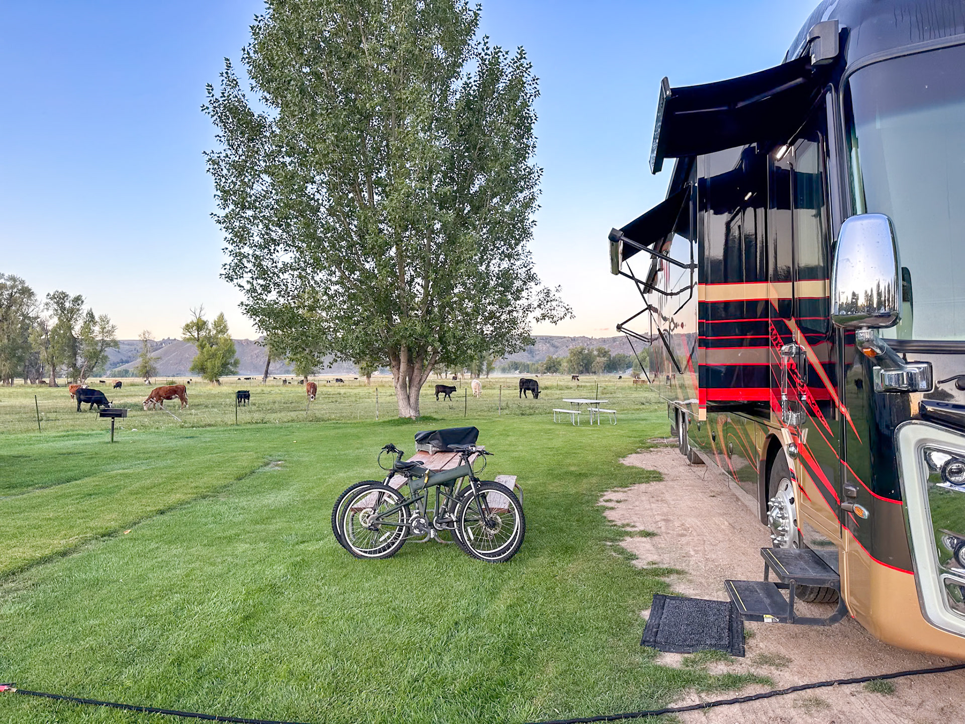 Our Gunnison campsite
