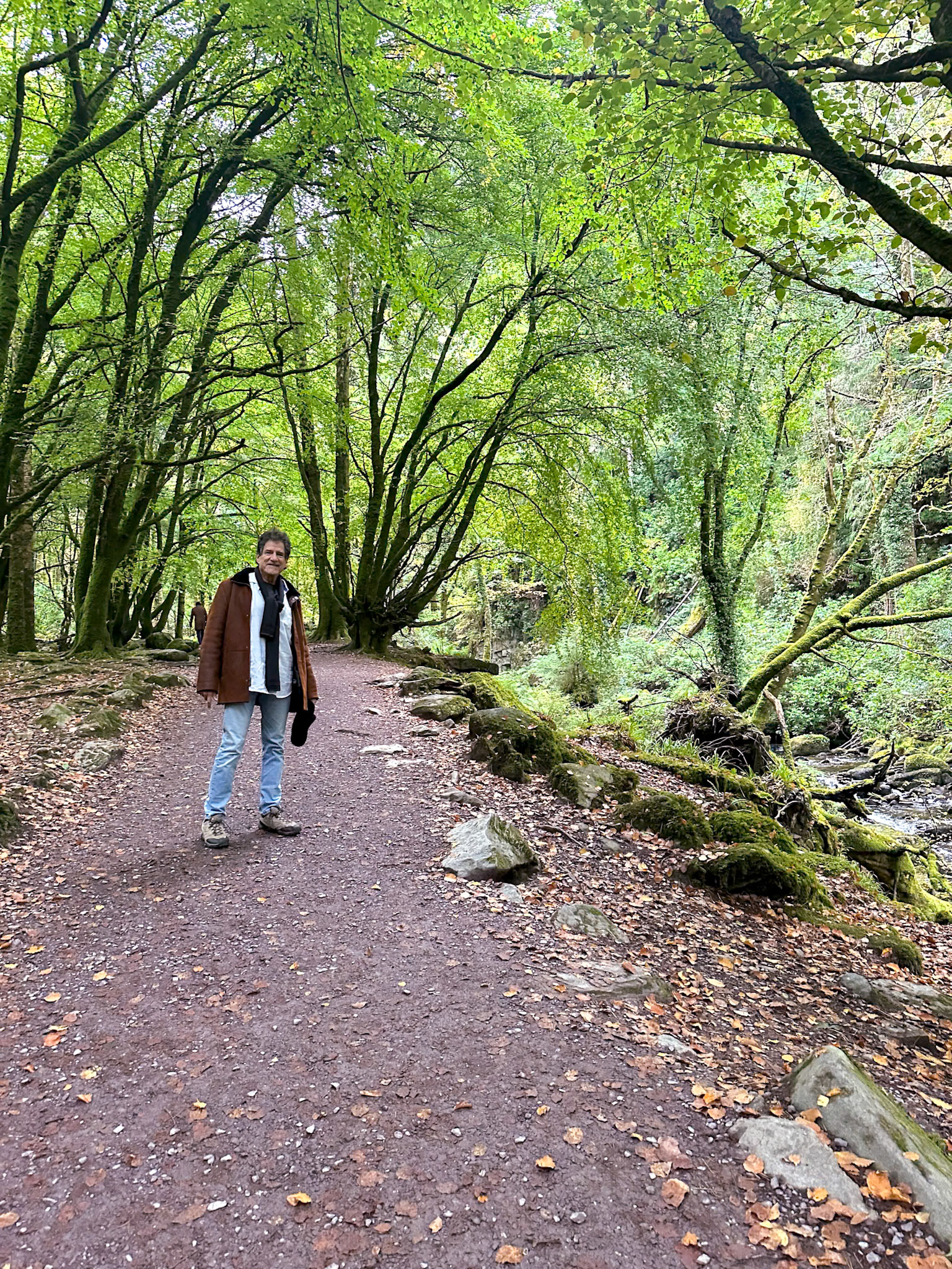 Meditative path to the waterfall