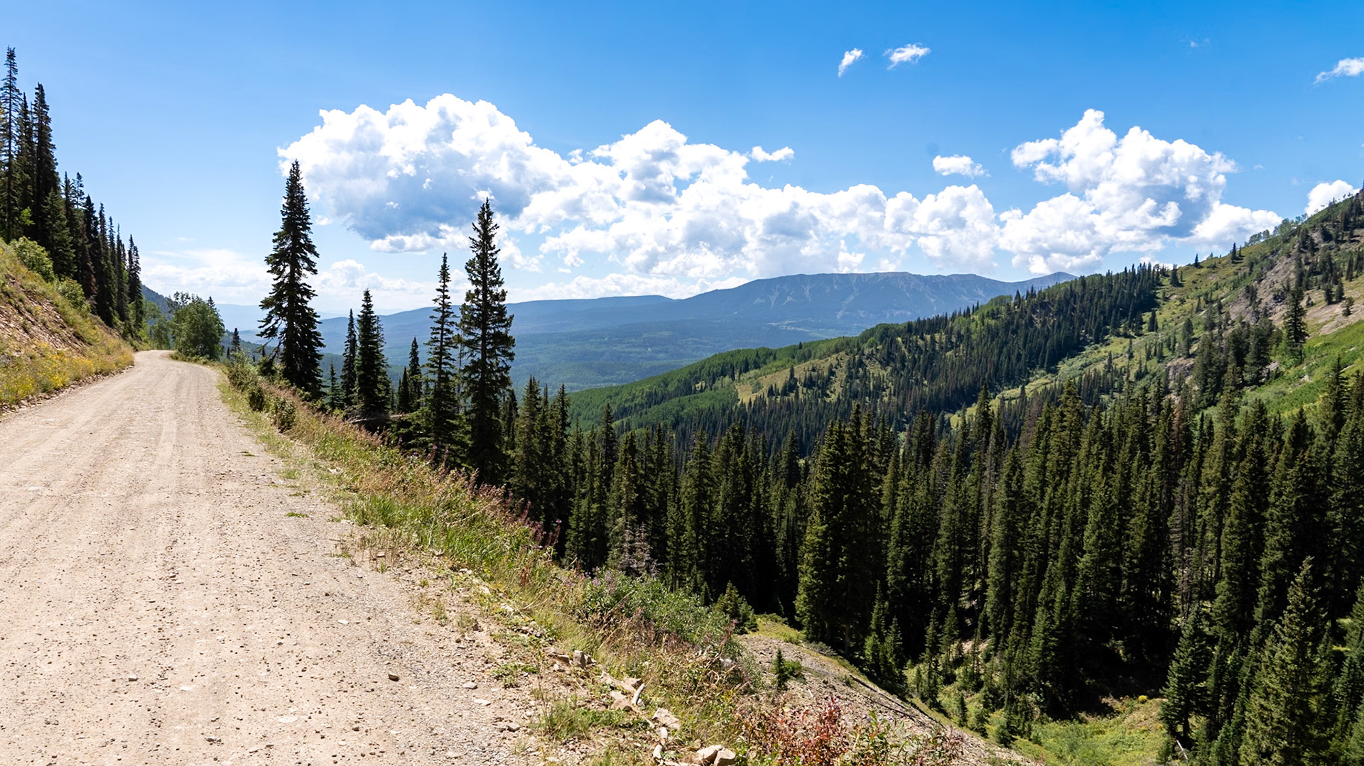 Ohio Pass near Crested Butte