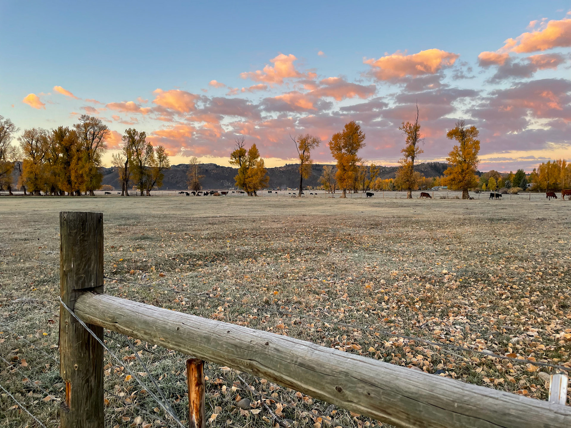 Sunrise at the campground in Gunnison