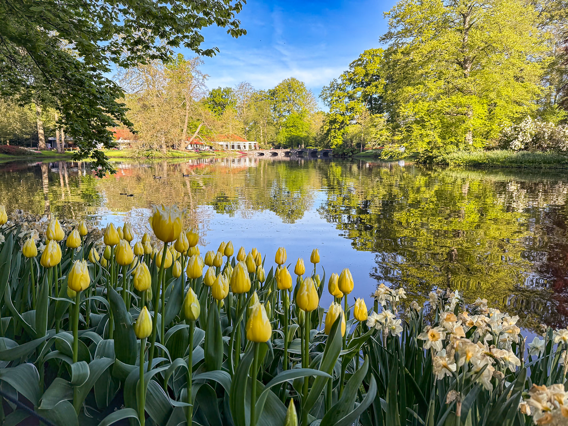 Keukenhof Gardens