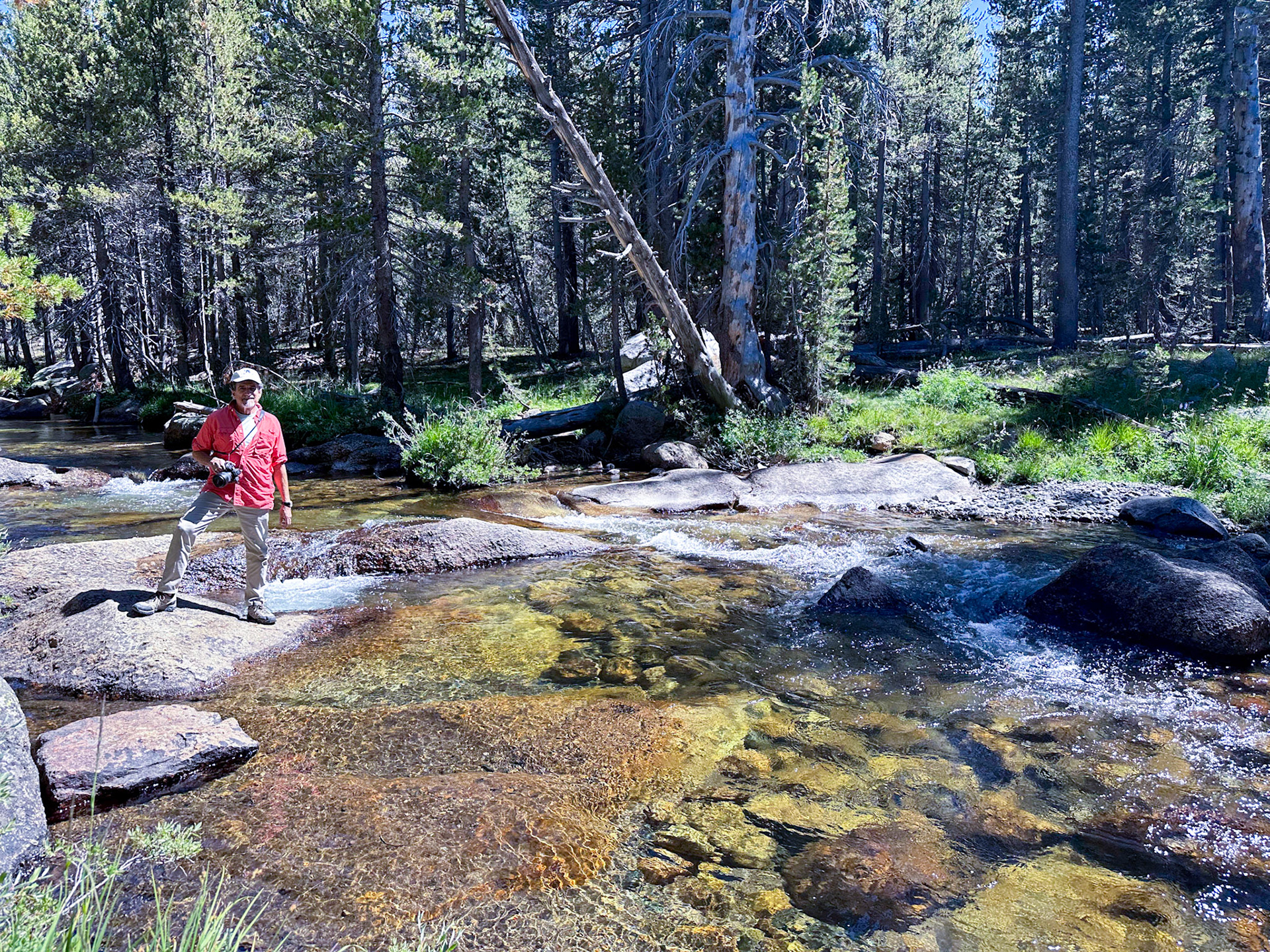 A fork of the Tuolumne River