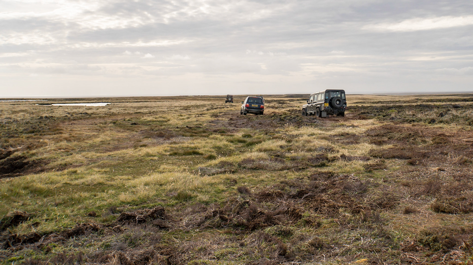 Driving across a peat bog near Stanley in the Falkland Islands to see penguins