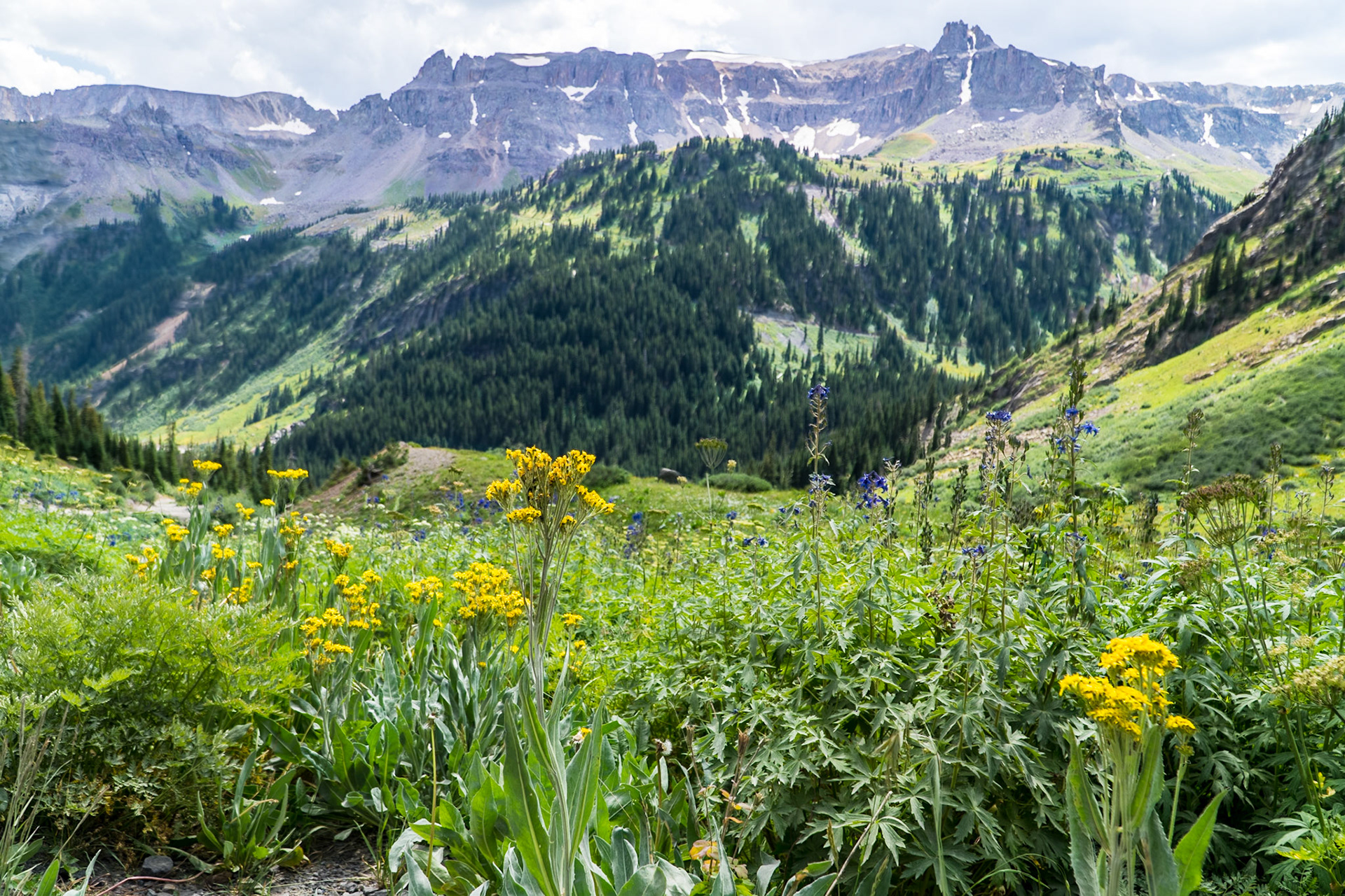 Scenic stop along Yankee Boy Trail