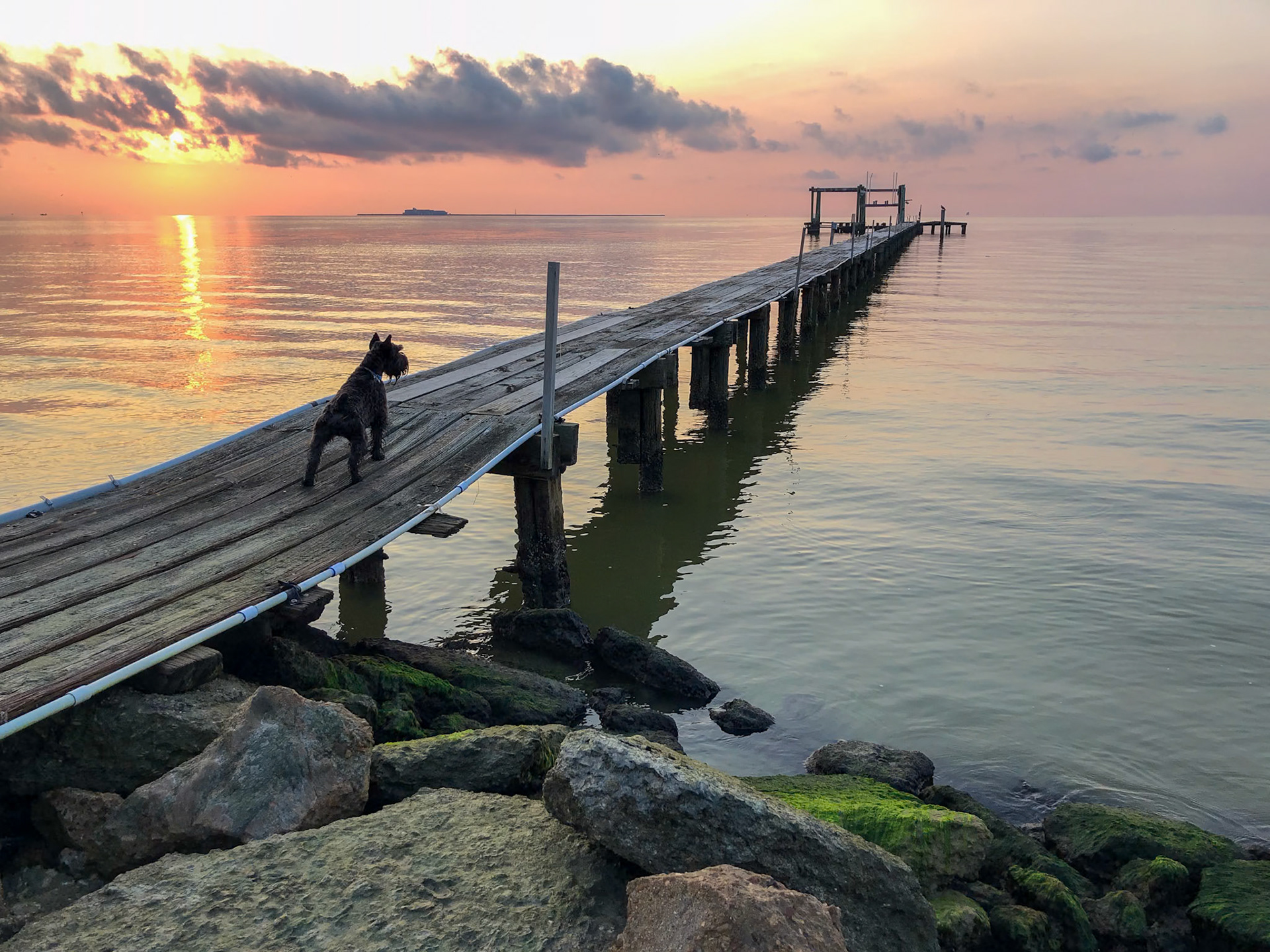 Tripp surveying the sunrise