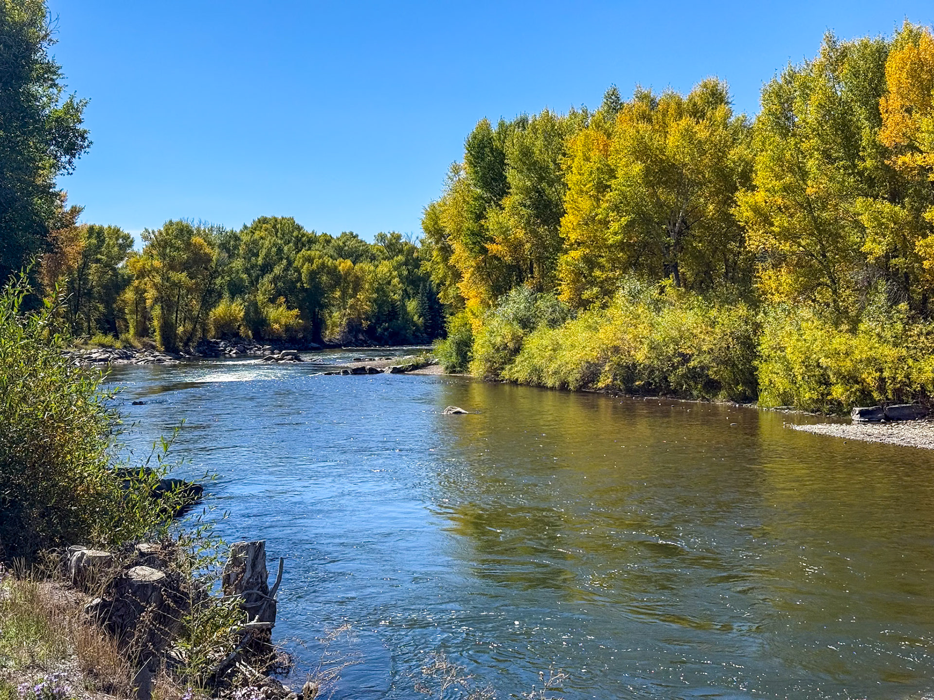 Gunnison River near the KOA