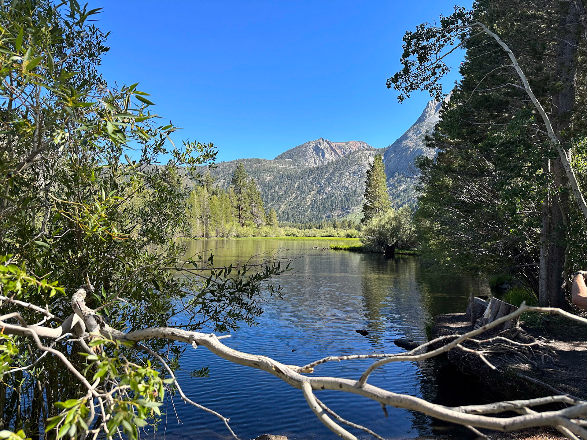 We stopped at Silver Lake as we drove the June Lake Loop