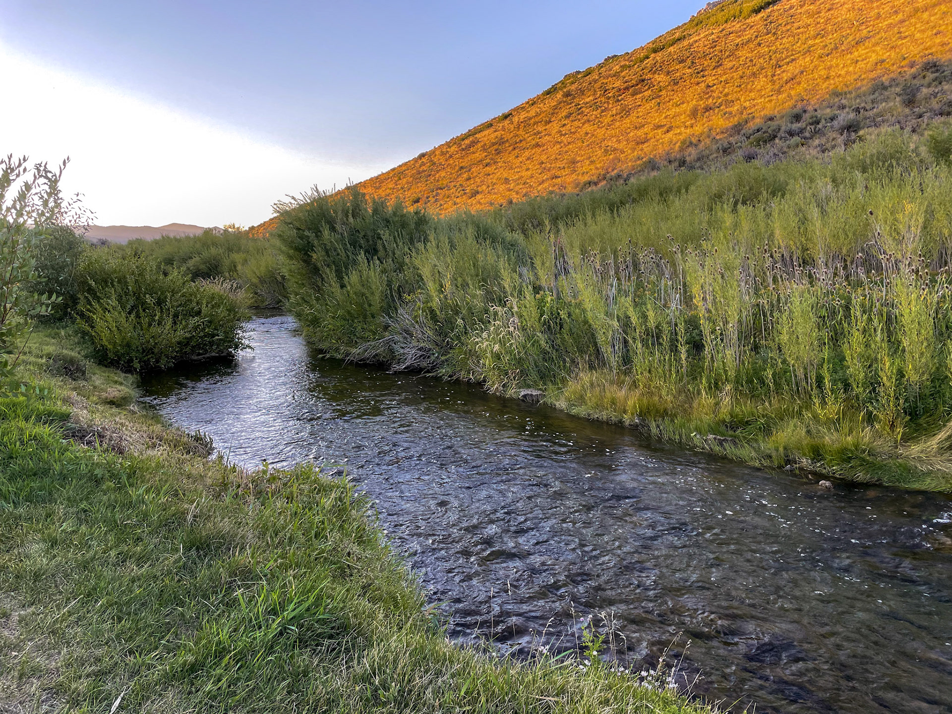 East Canyon Creek at sunset