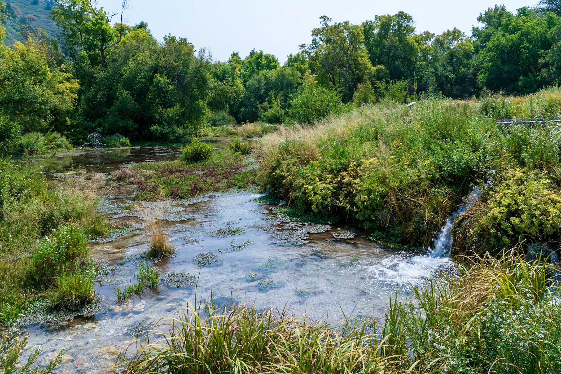 Cascade Springs is a forested area with waterfalls and natural springs