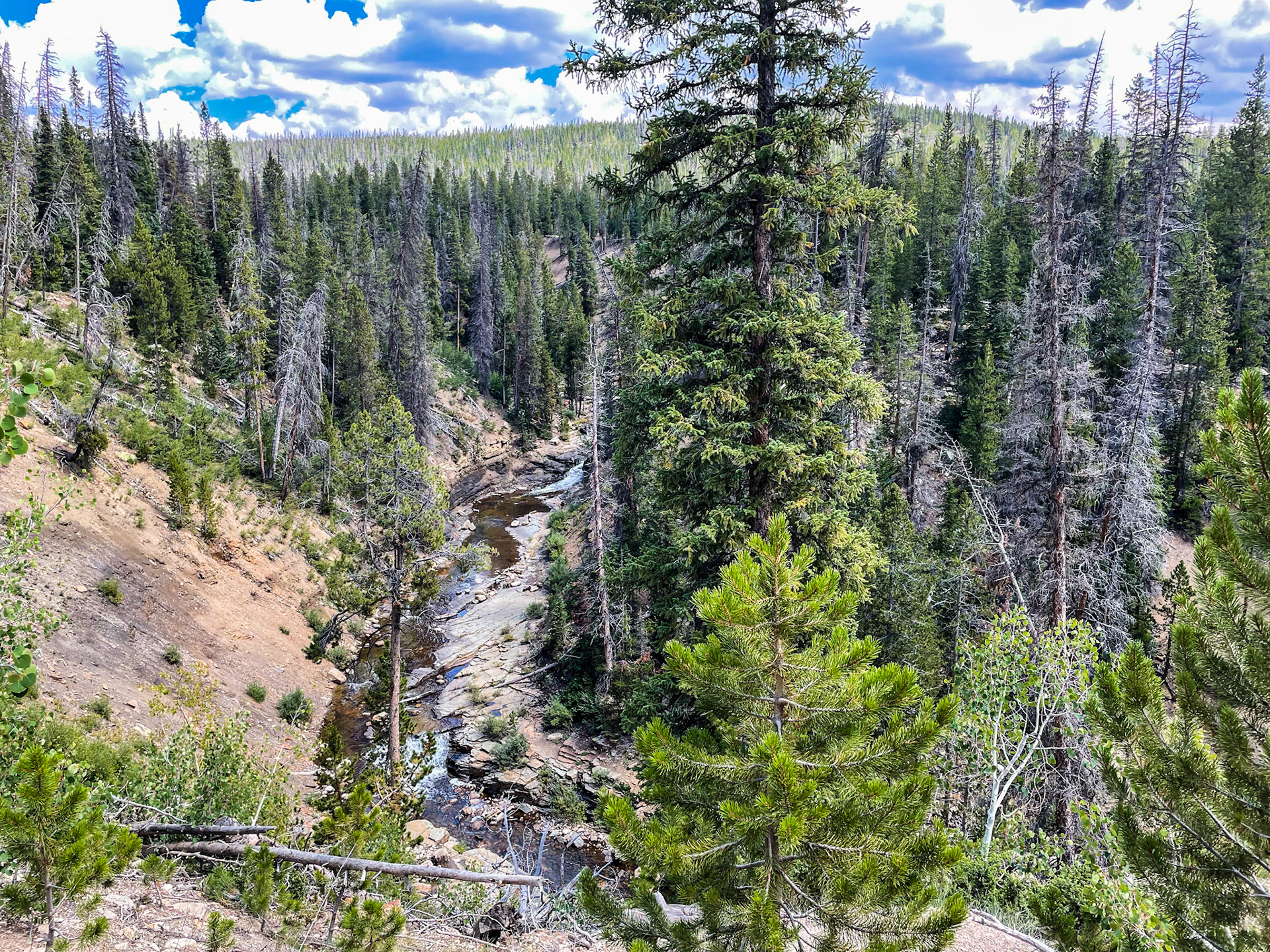Slate Gorge down below, as we wind our way to the mountaintop
