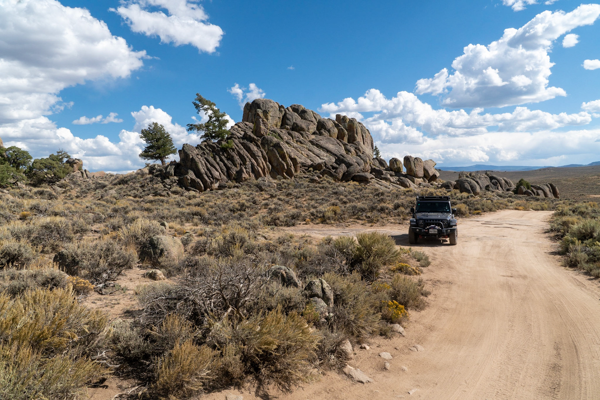 An interesting stop during our 4WD trek to Hartman Rocks