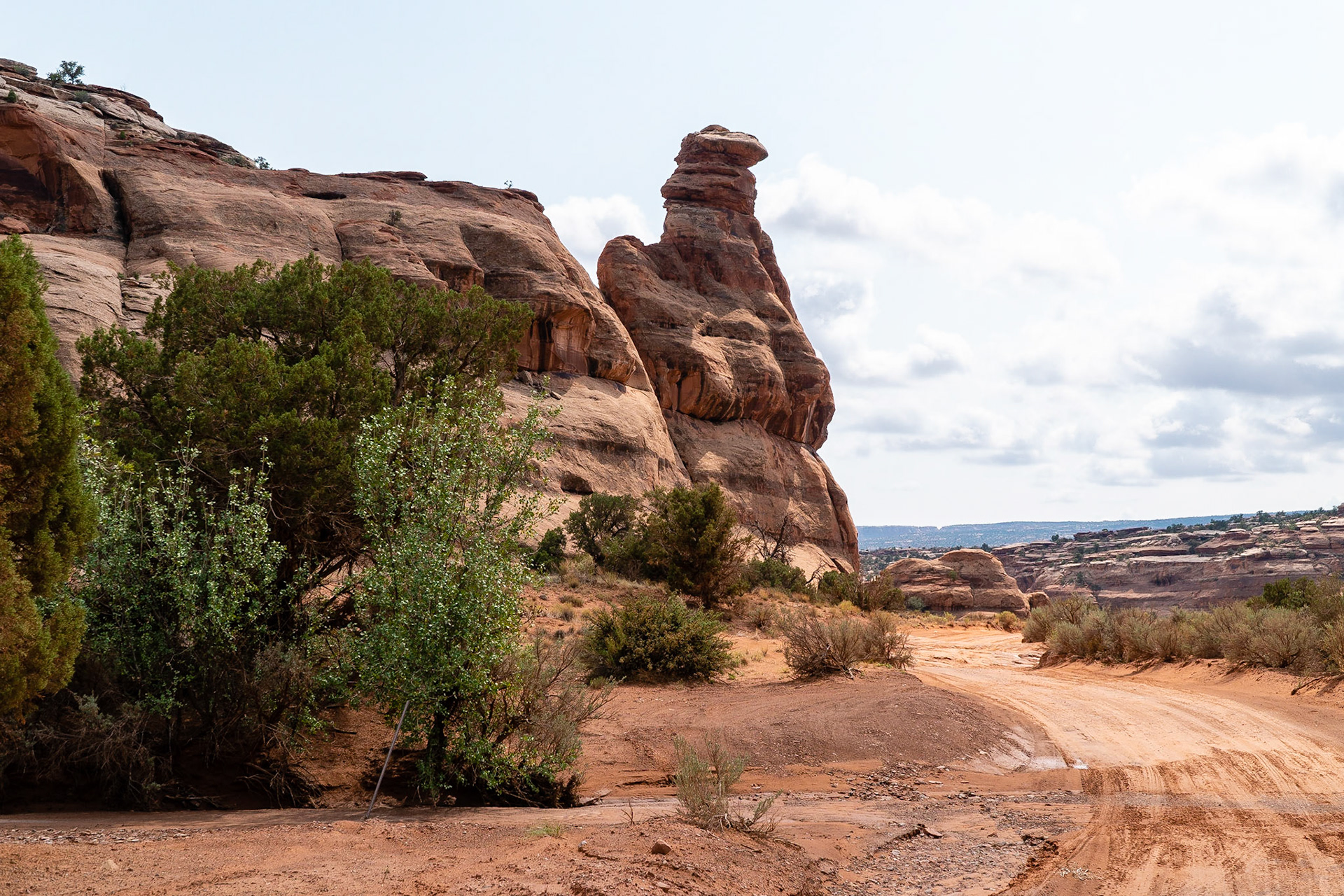 This group of rocks along the trail is called Parrot Rock