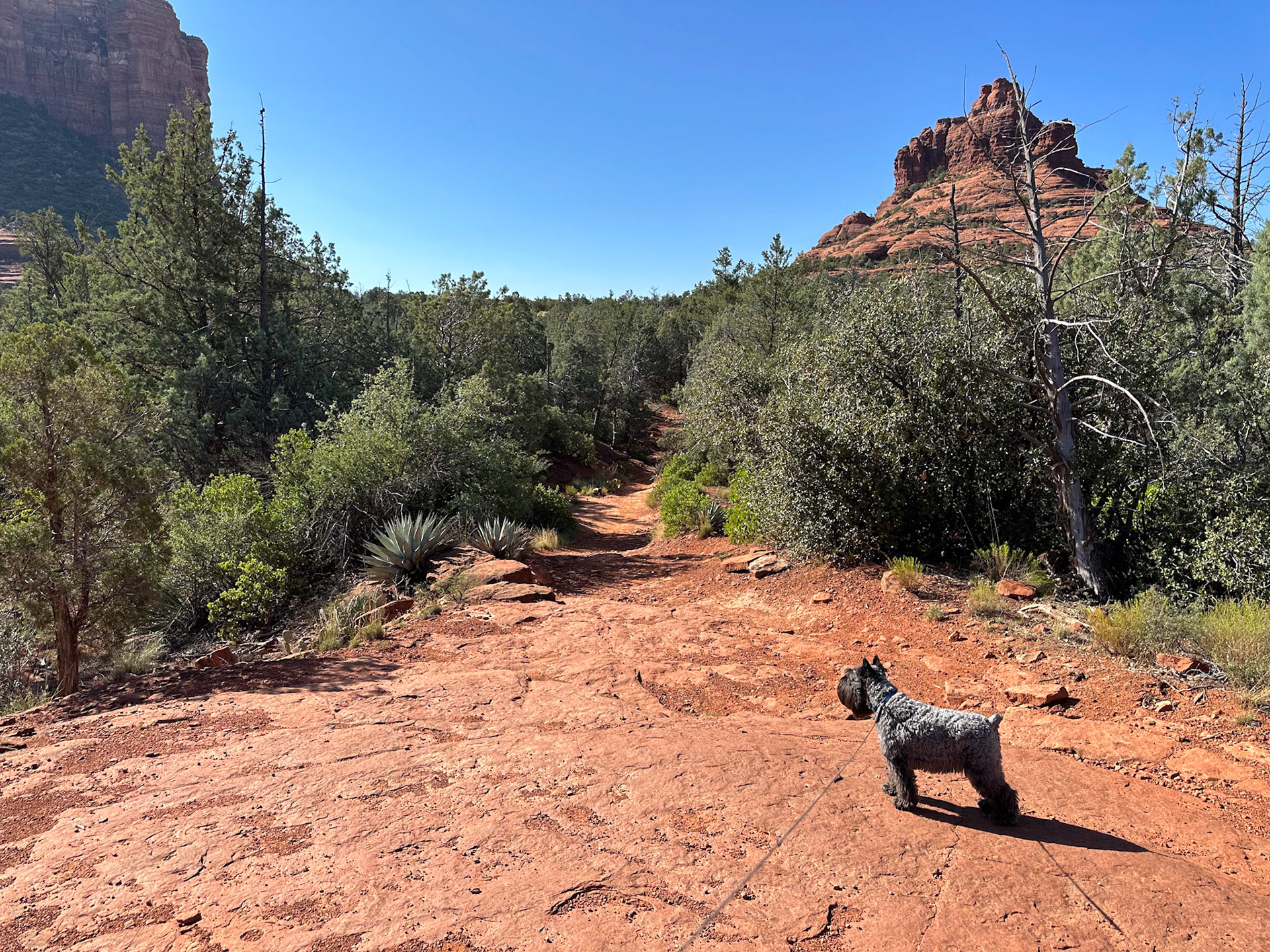 Tripp is always leading the way