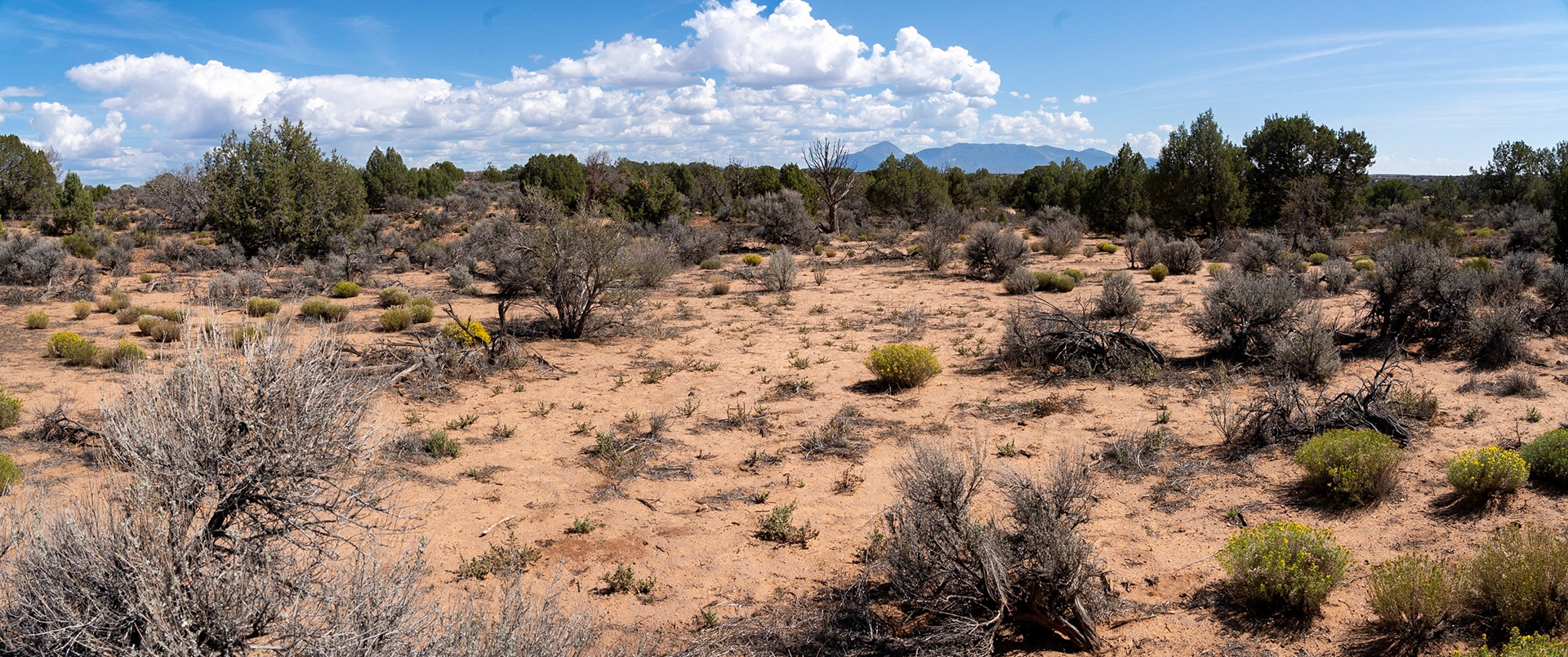 Desolate surroundings on our hike to the ruins