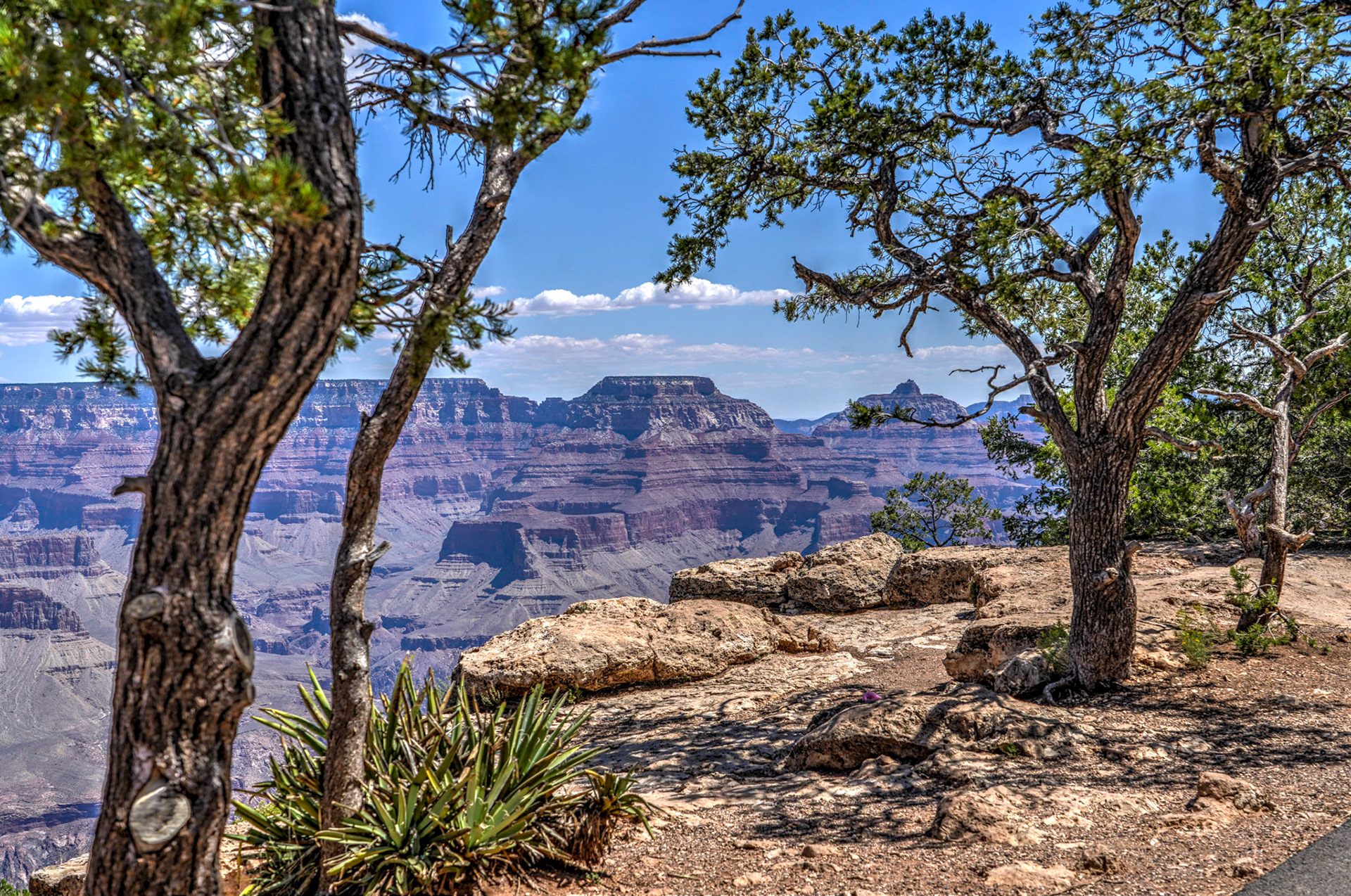 Yavapai at the Grand Canyon South Rim