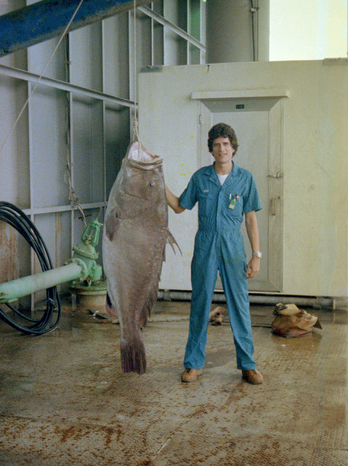 Big fish caught from the side of the rig