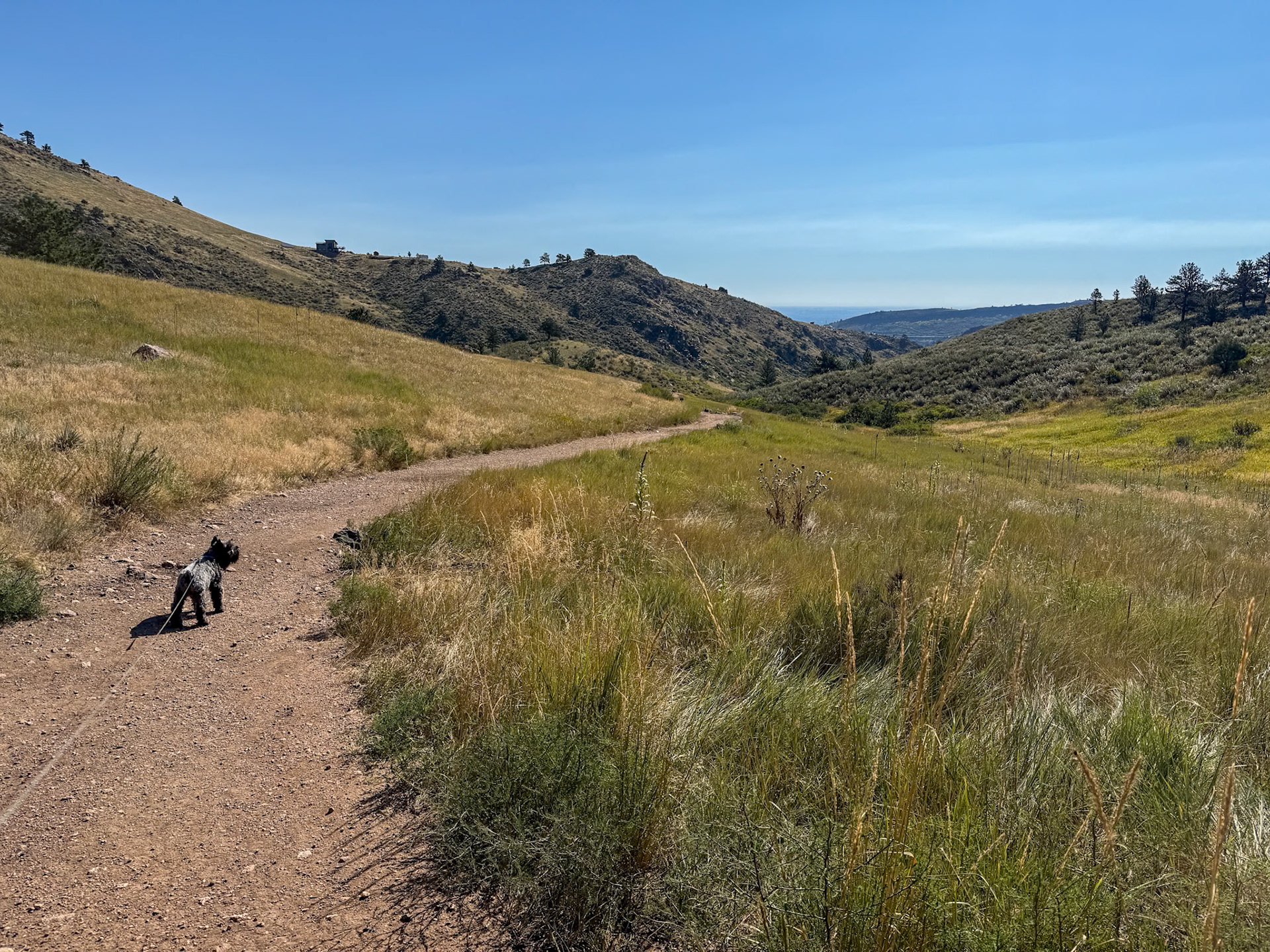 Trail to Horsetooth Falls