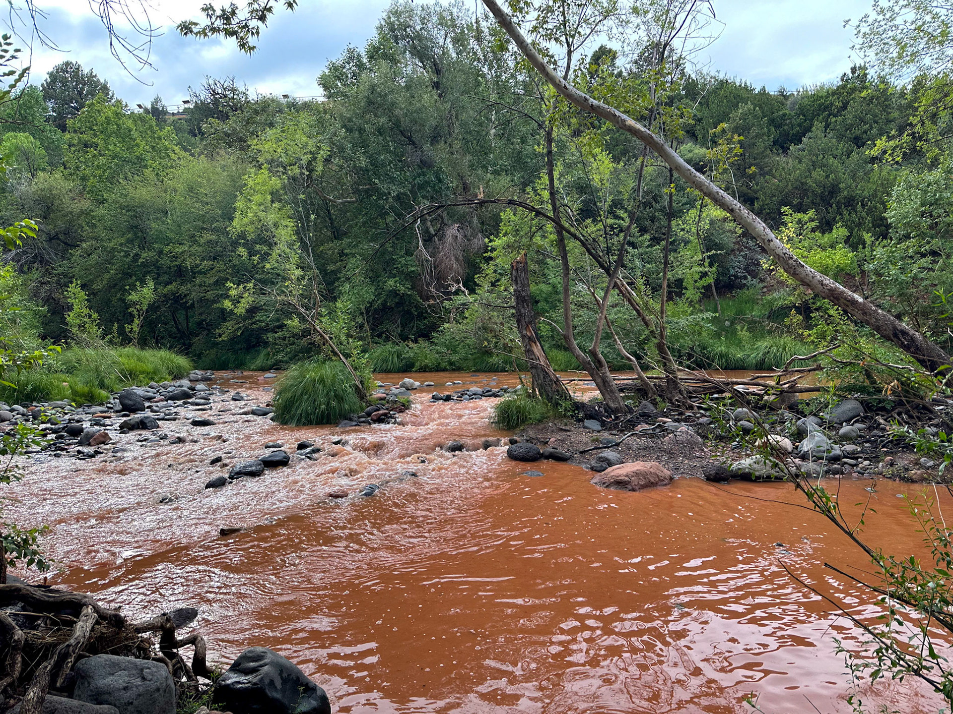 Muddy creek after monsoon rains