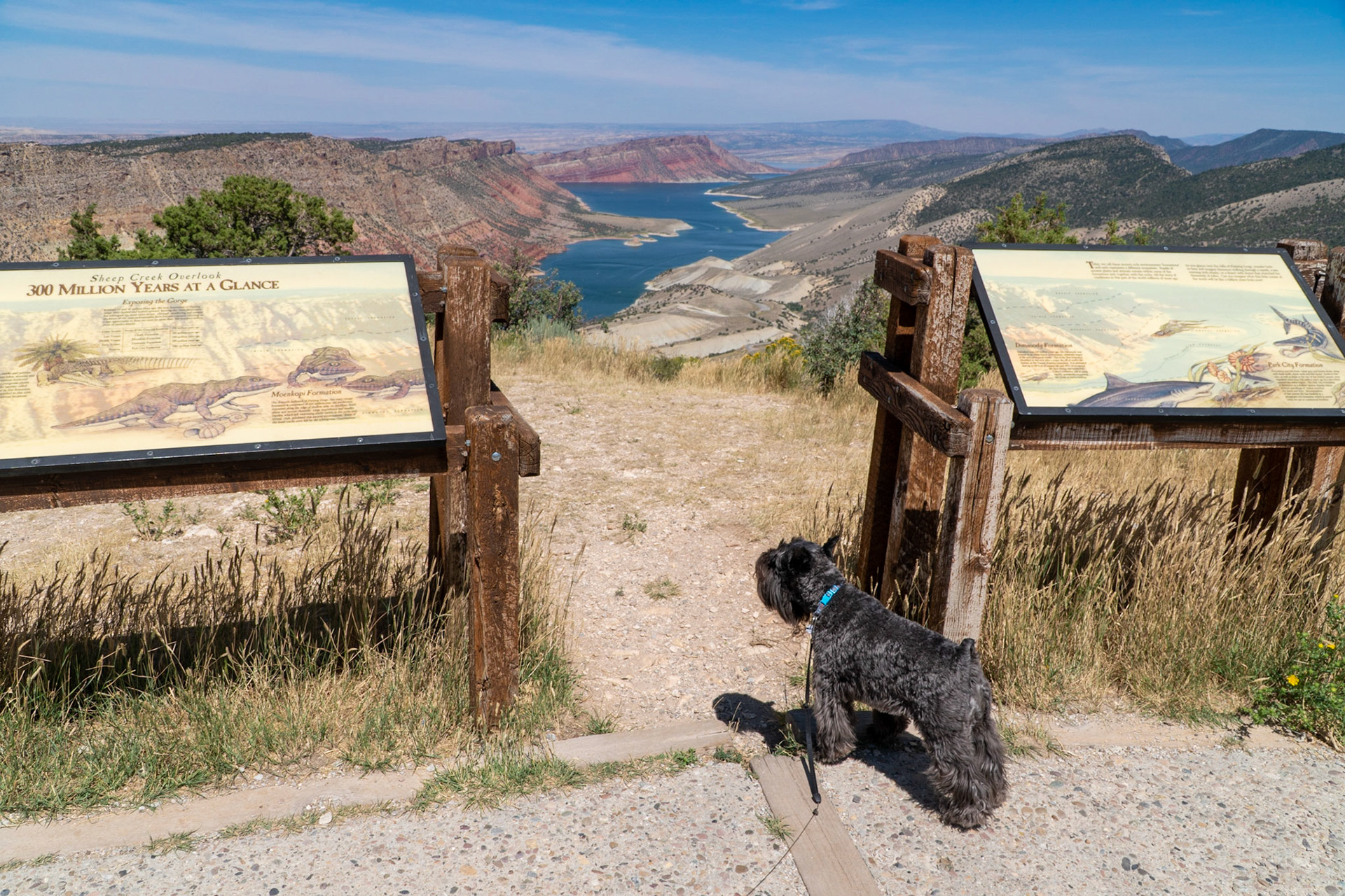 Tripp is enjoying the view