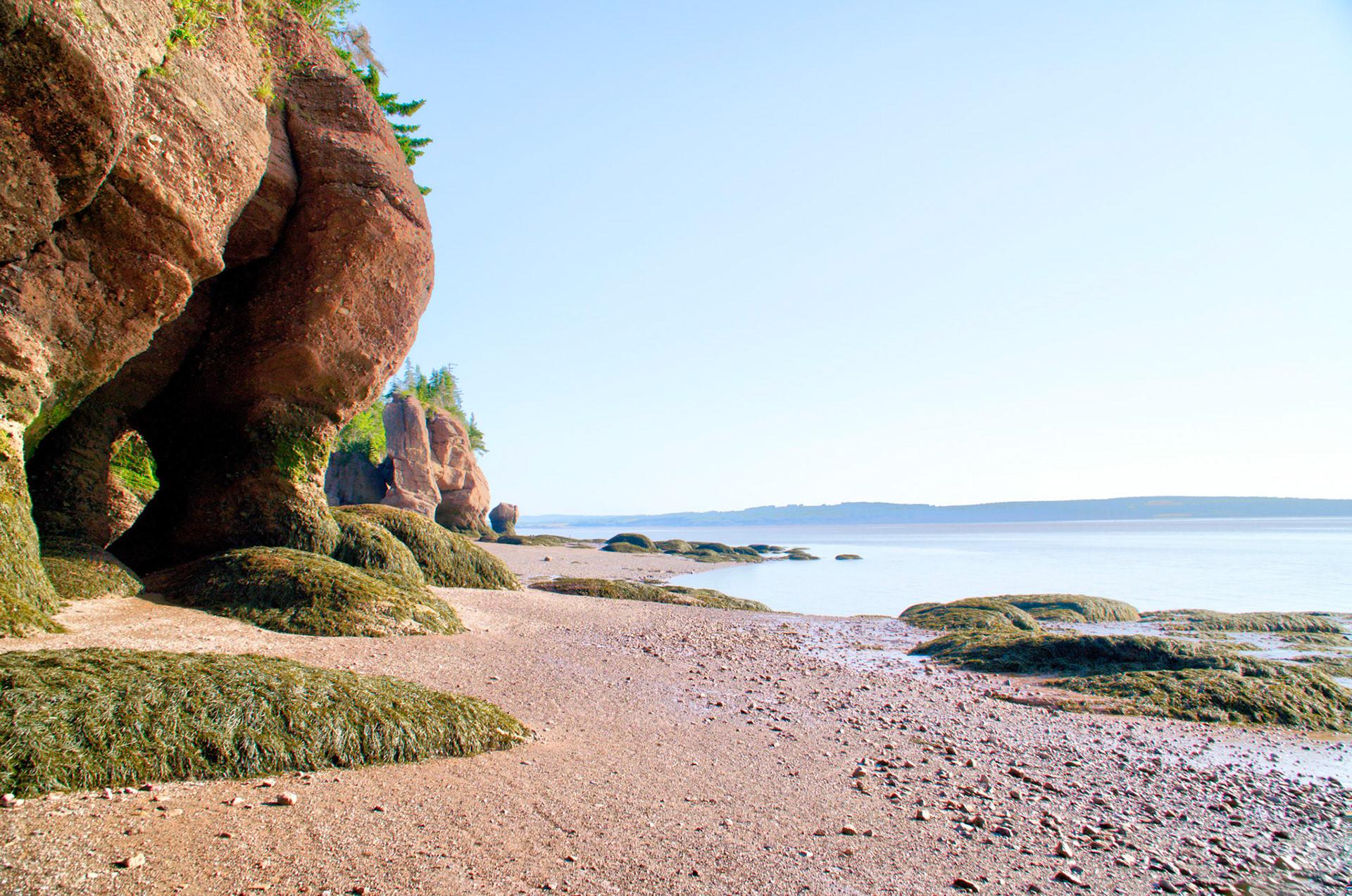 Ocean floor at low tide on the Bay of Fundy