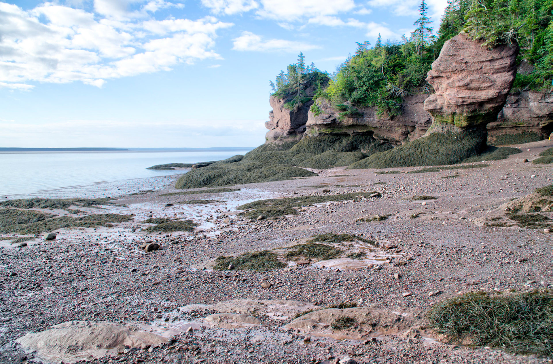 Bay of Fundy has the world's highest tidal range