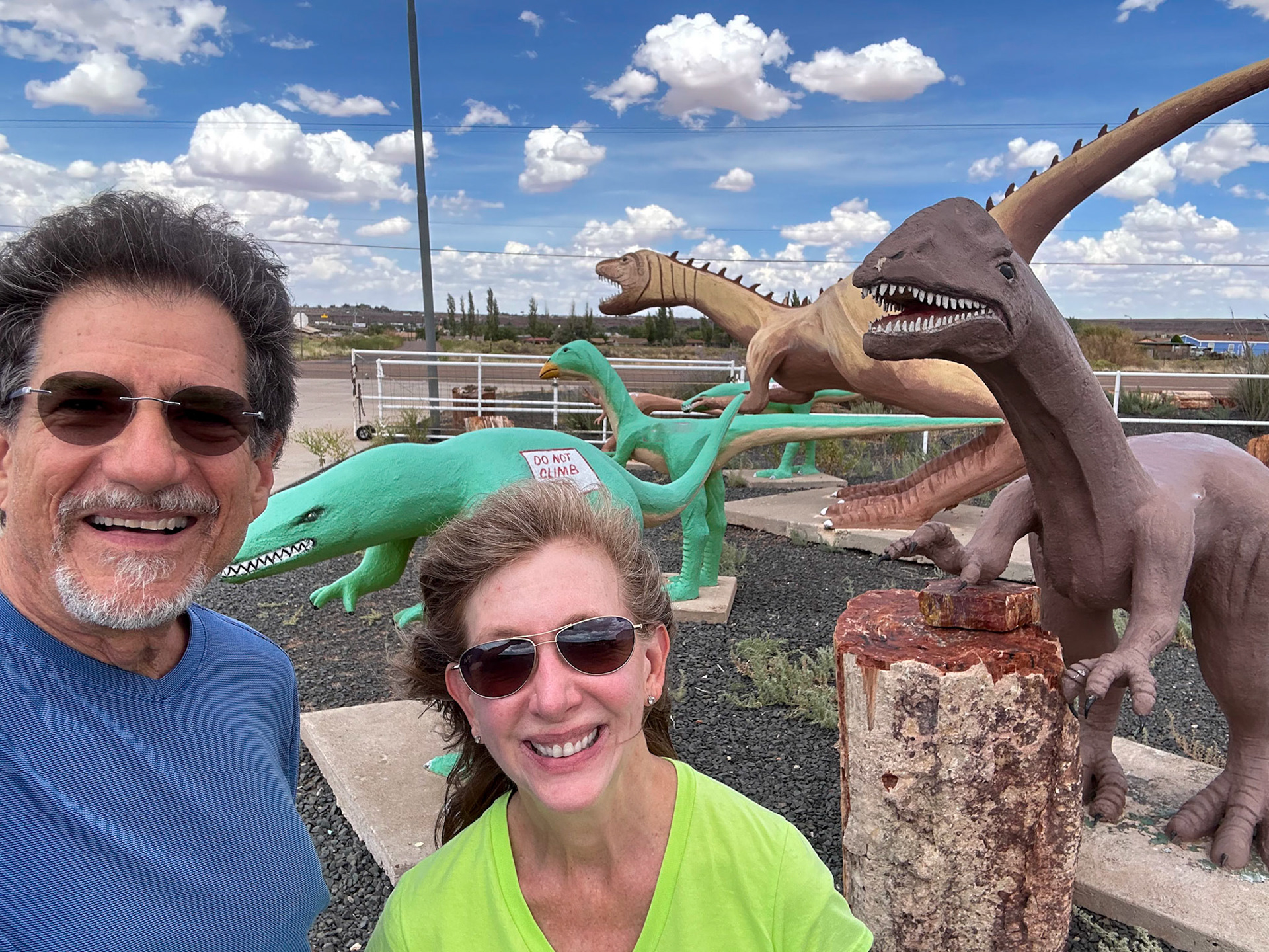 Dinos and petrified wood at Jim Gray's Rock Shop